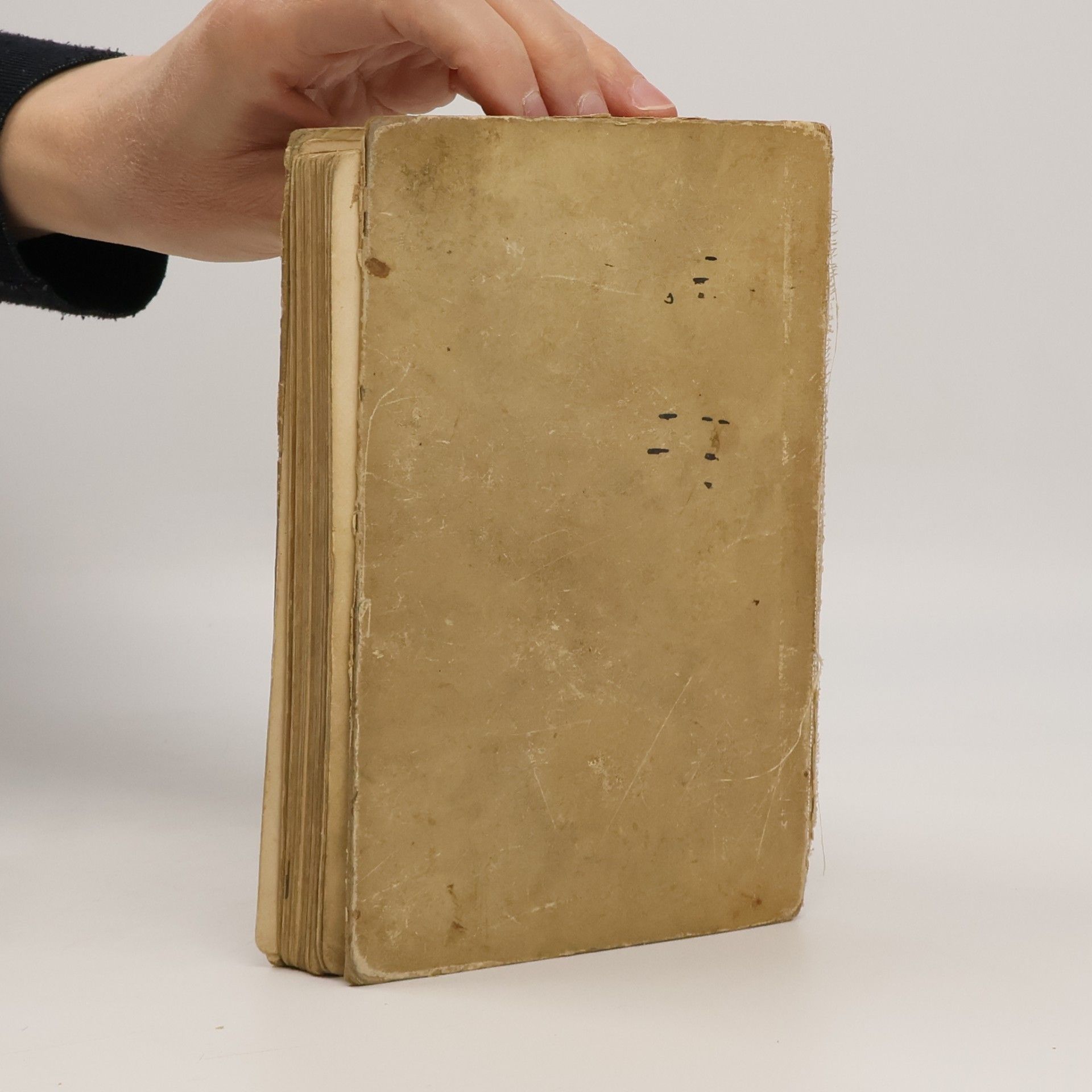 Georg Scherer Rätselbuch für Jung und Alt