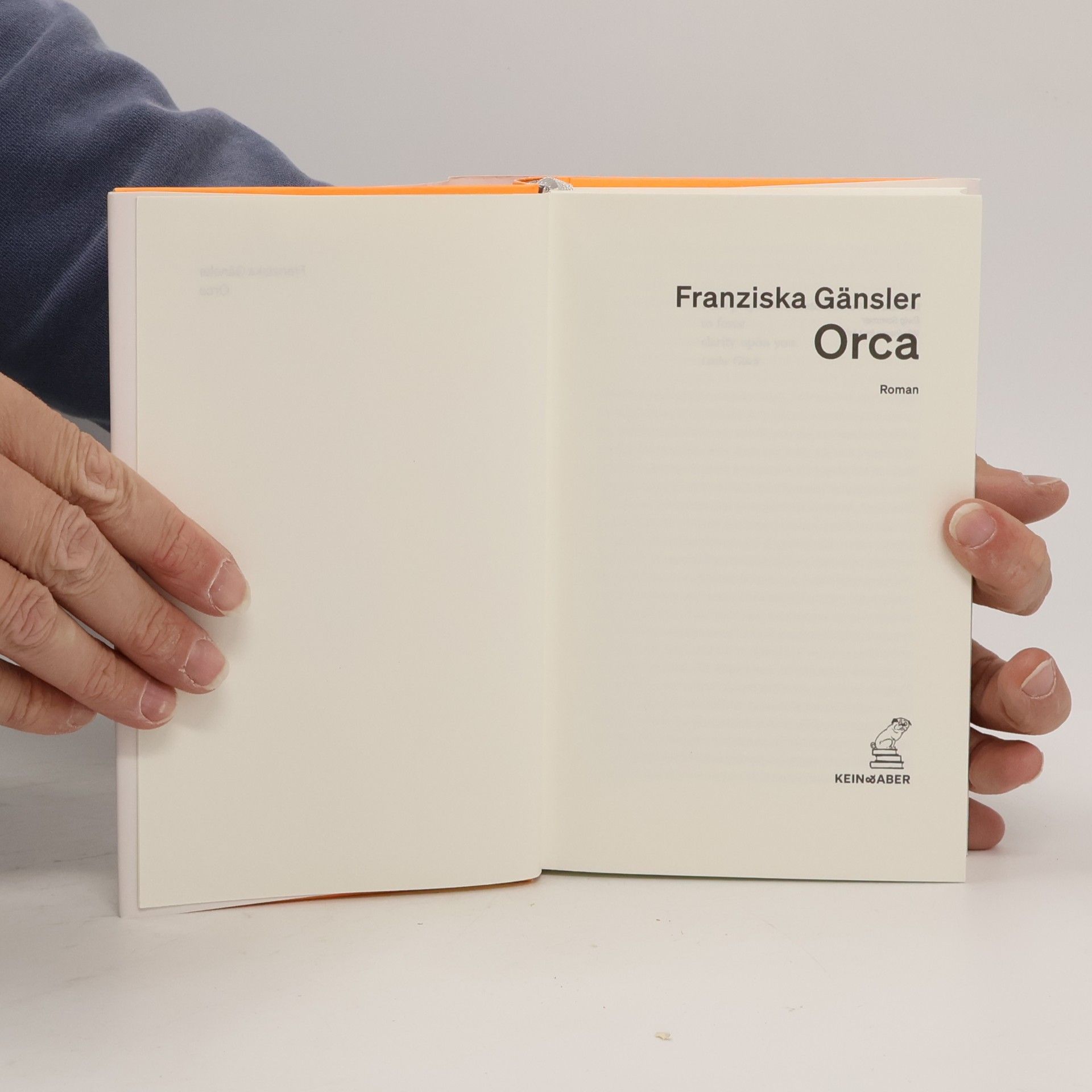 Franziska Gänsler Orca: Roman