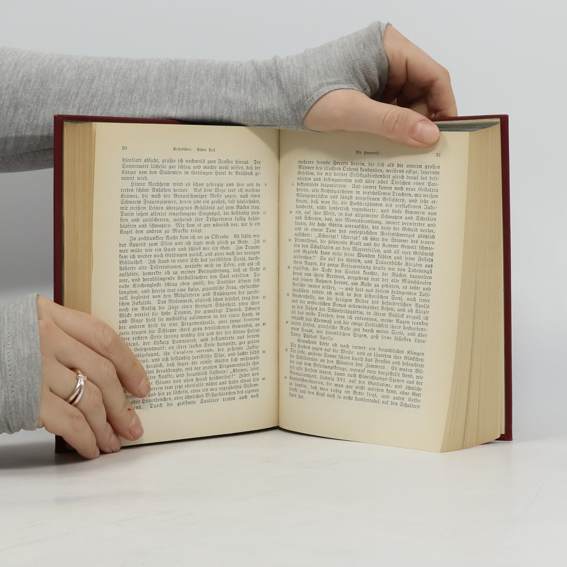 Heinrich Heine Heines Werke 5-8