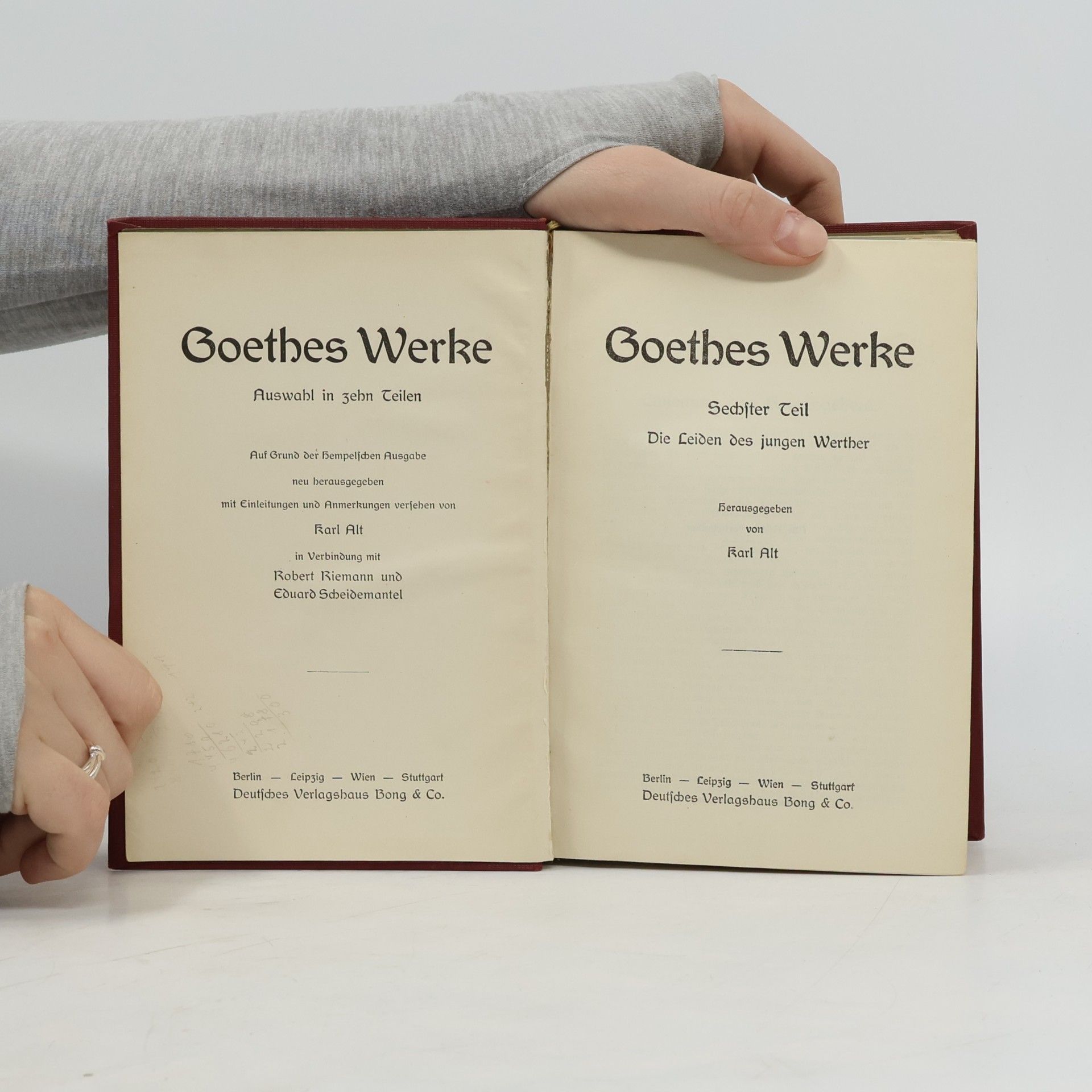Johann Wolfgang von Goethe Goethes Werke XV.