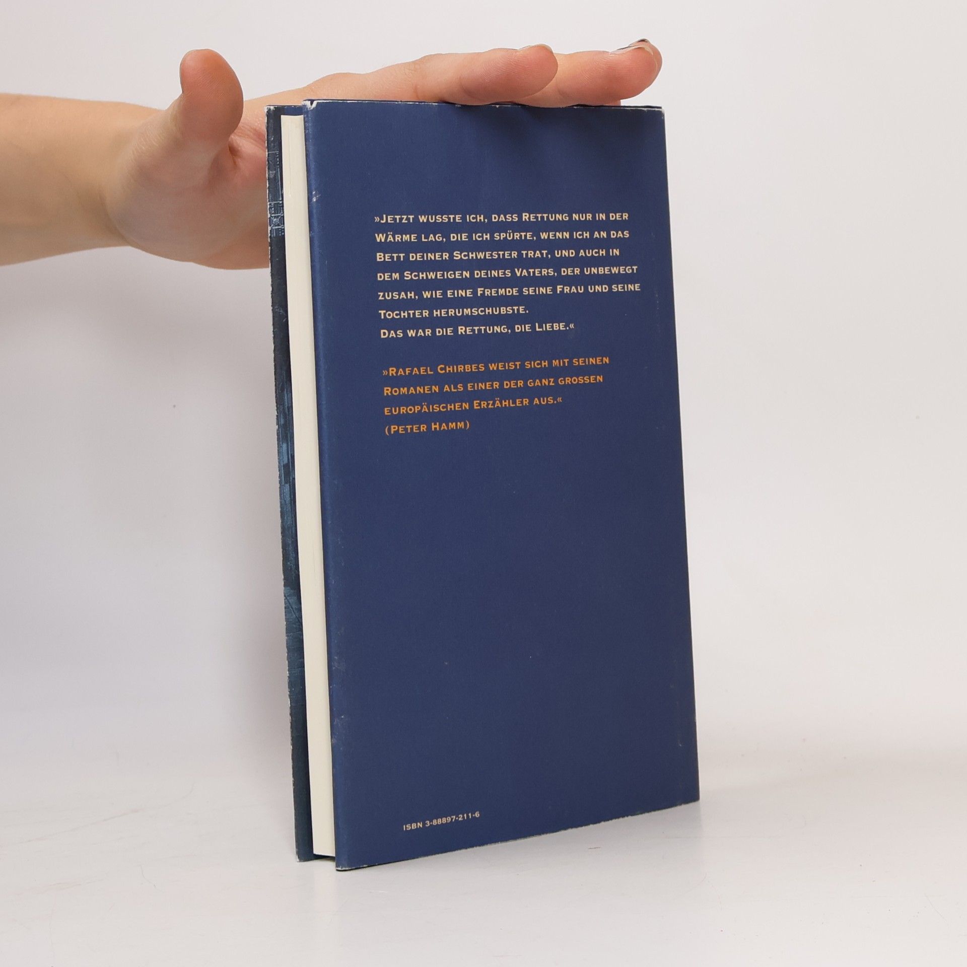 Rafael Chirbes Die schöne Schrift