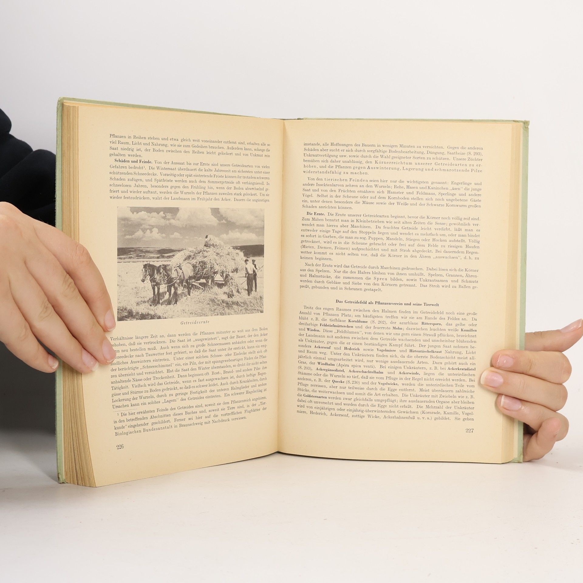 Otto Schmeil Pflanzenkunde