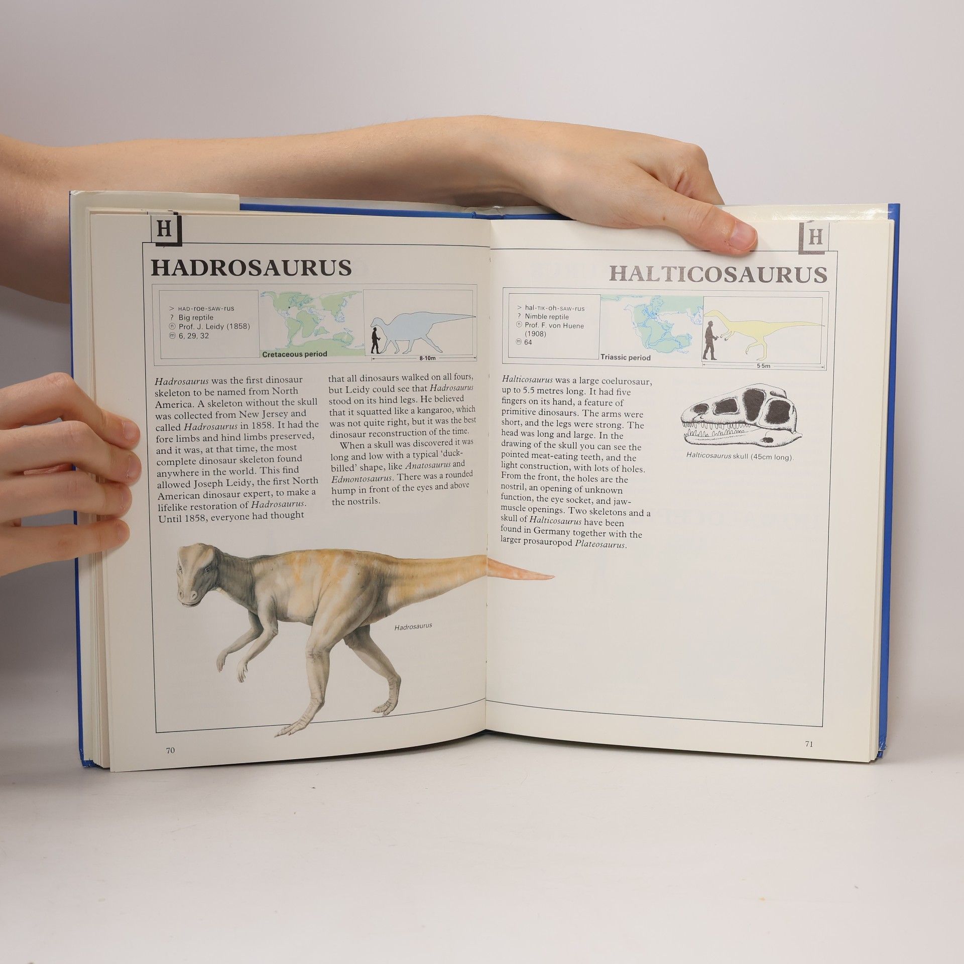 Michael Benton Dinosaurs