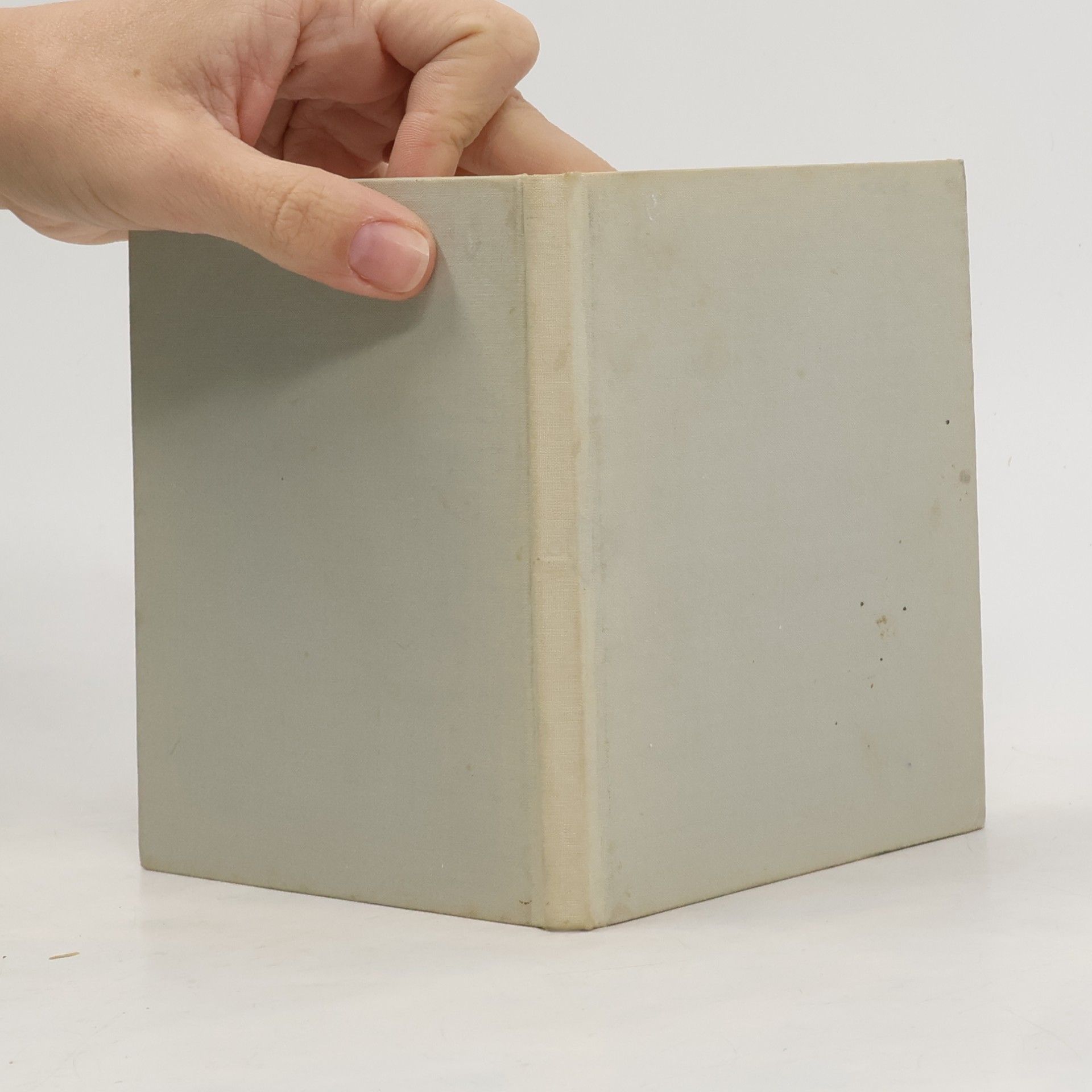 Peter Vos Klein pulcinellenboek voor Anneke