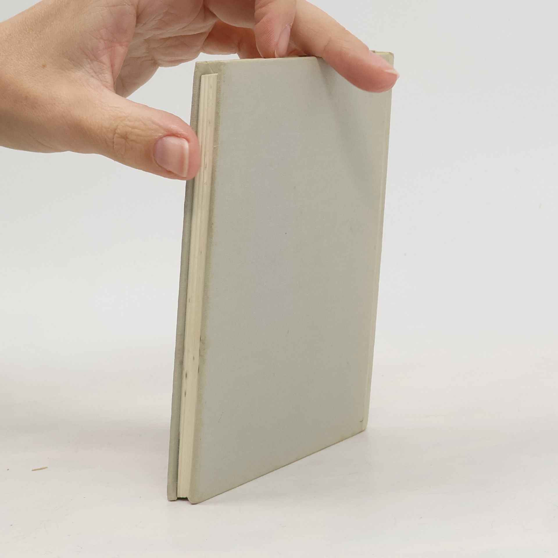 Peter Vos Klein pulcinellenboek voor Anneke