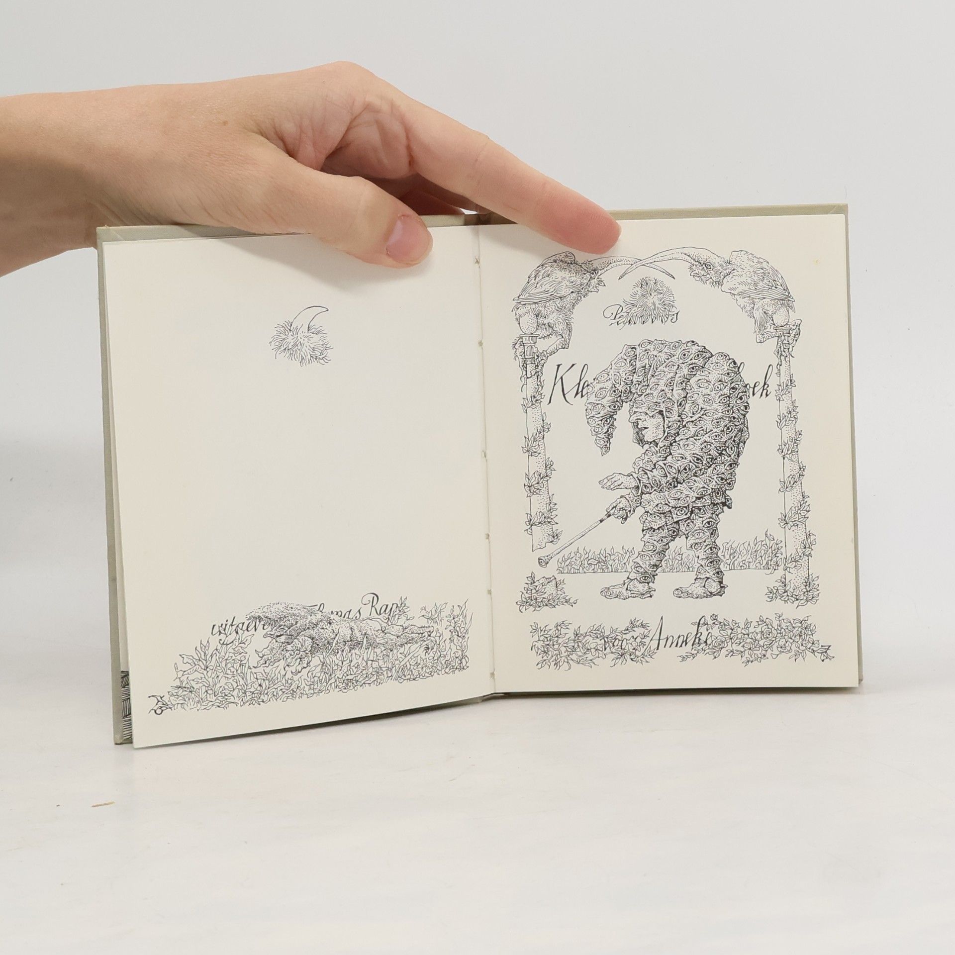 Peter Vos Klein pulcinellenboek voor Anneke