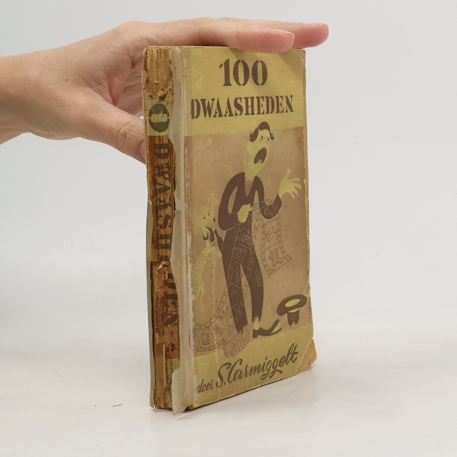 100 Dwaasheden
