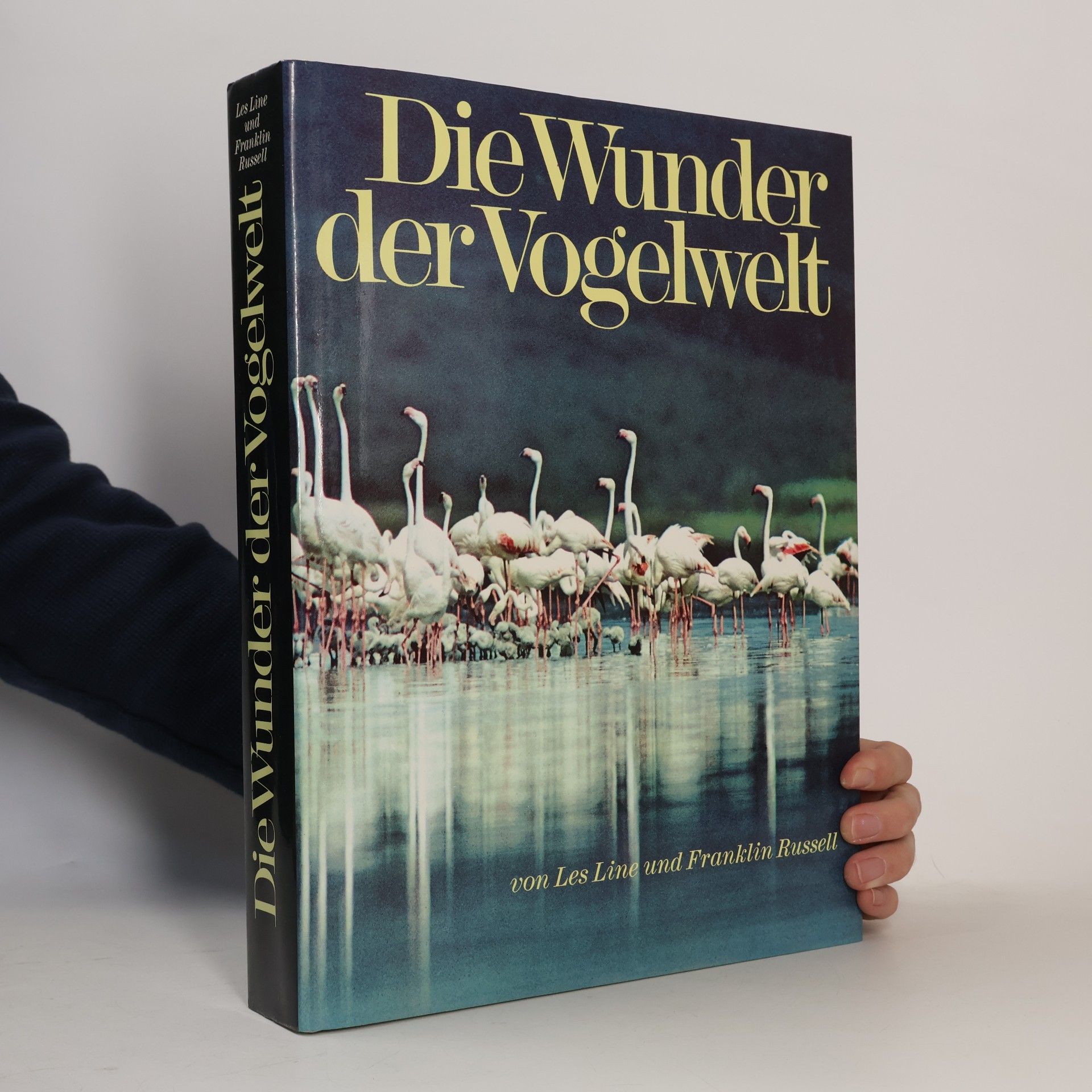 Die Wunder der Vogelwelt