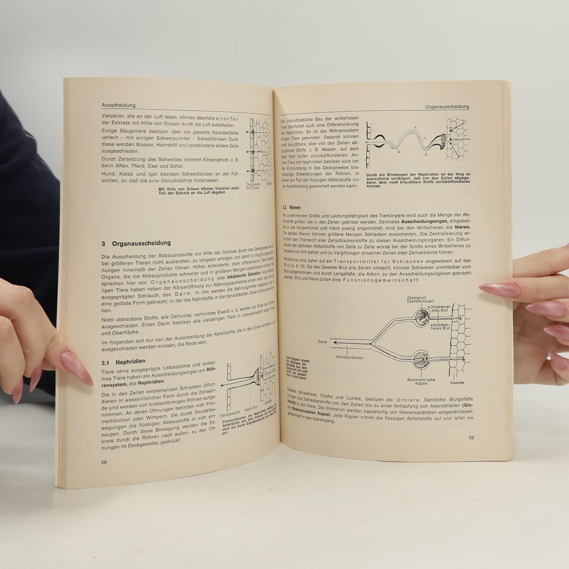 Hertel Allgemeine Biologie mit Mikrobiologie