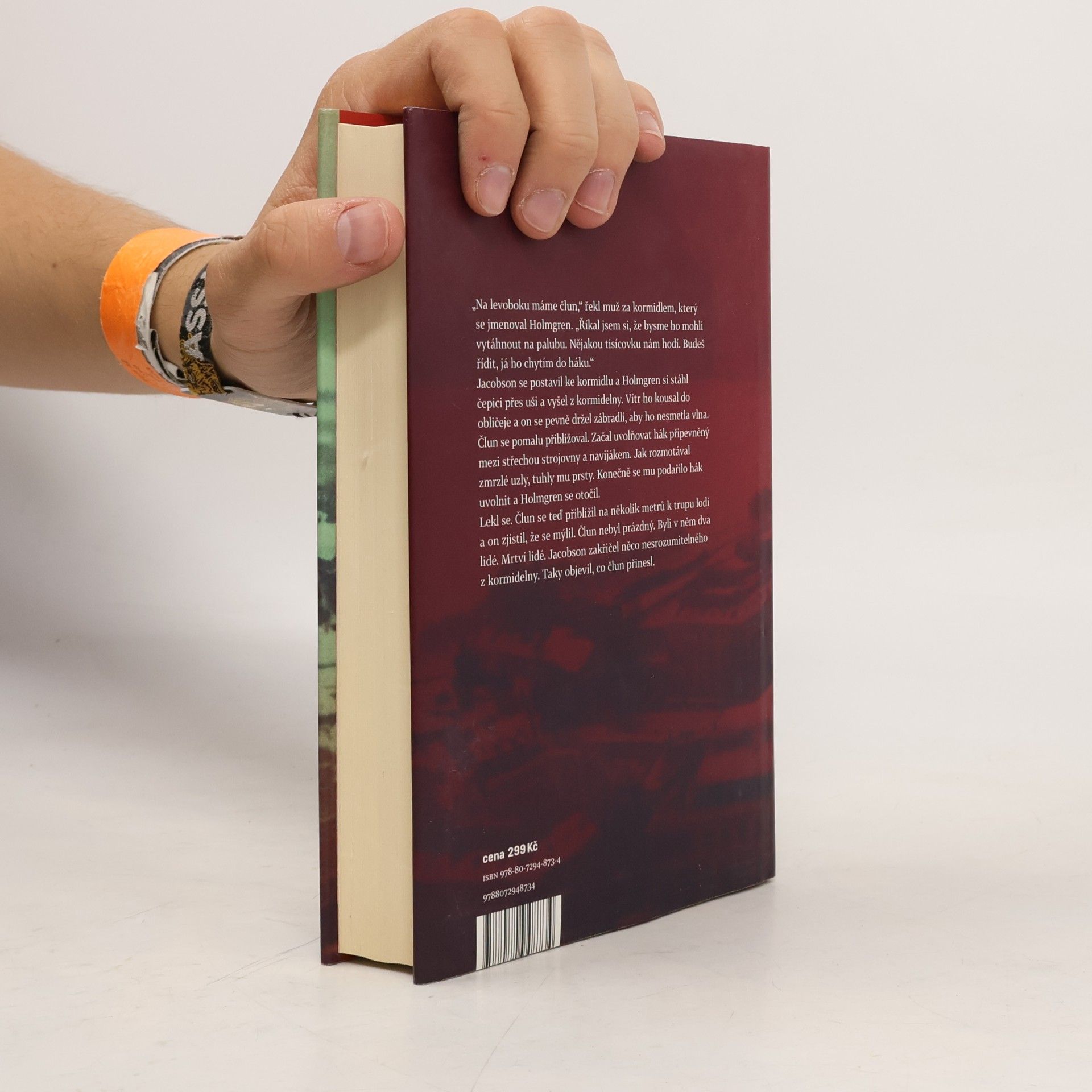 Henning Mankell Psi z Rigy