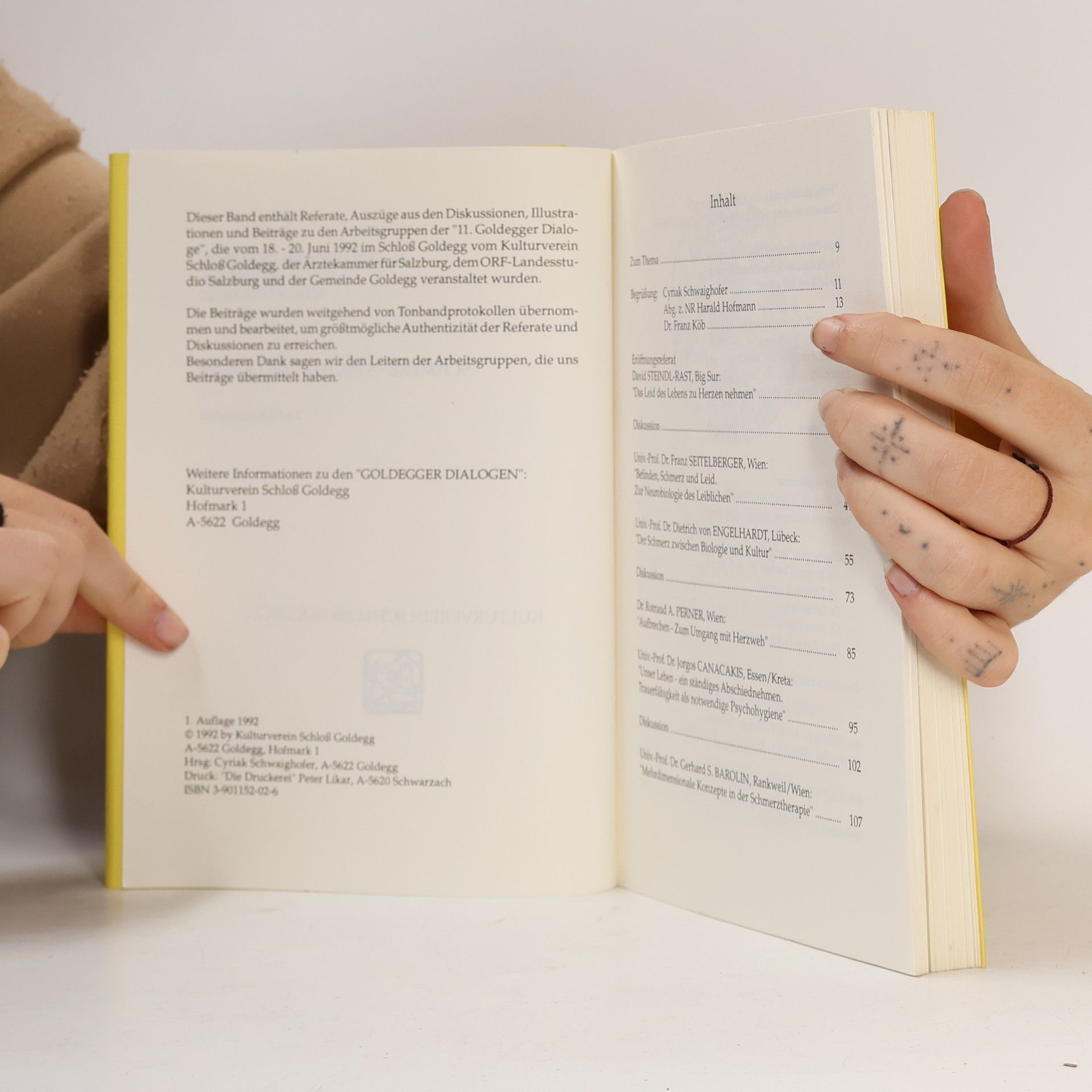 Autorenkollektiv Goldegger dialoge: schmerz - stachel des lebens