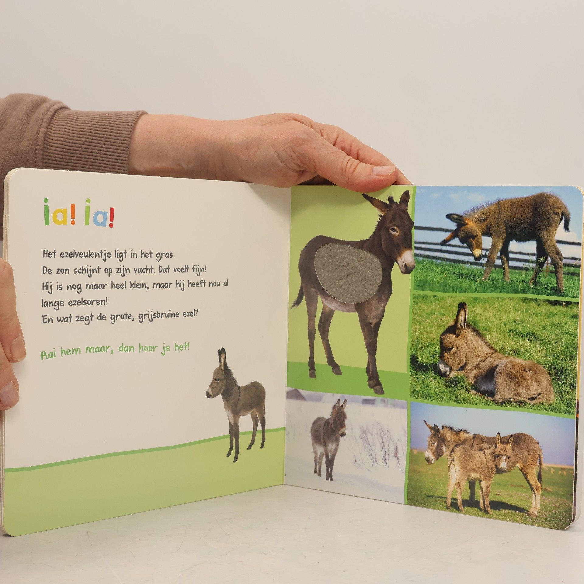 Vitataal (Feerwerd) Welk dier hoor ik hier?