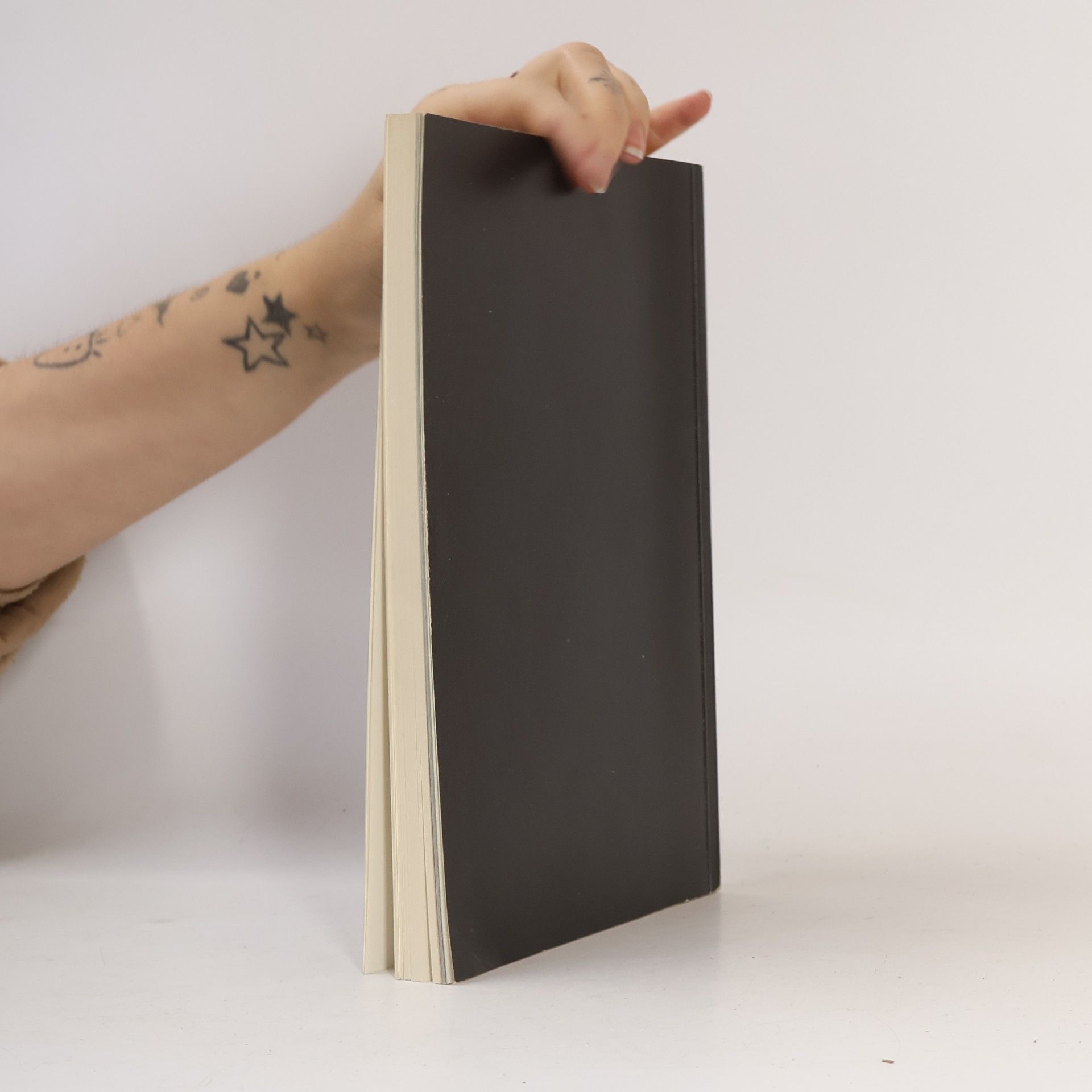 Anon Handbook of Paintings
