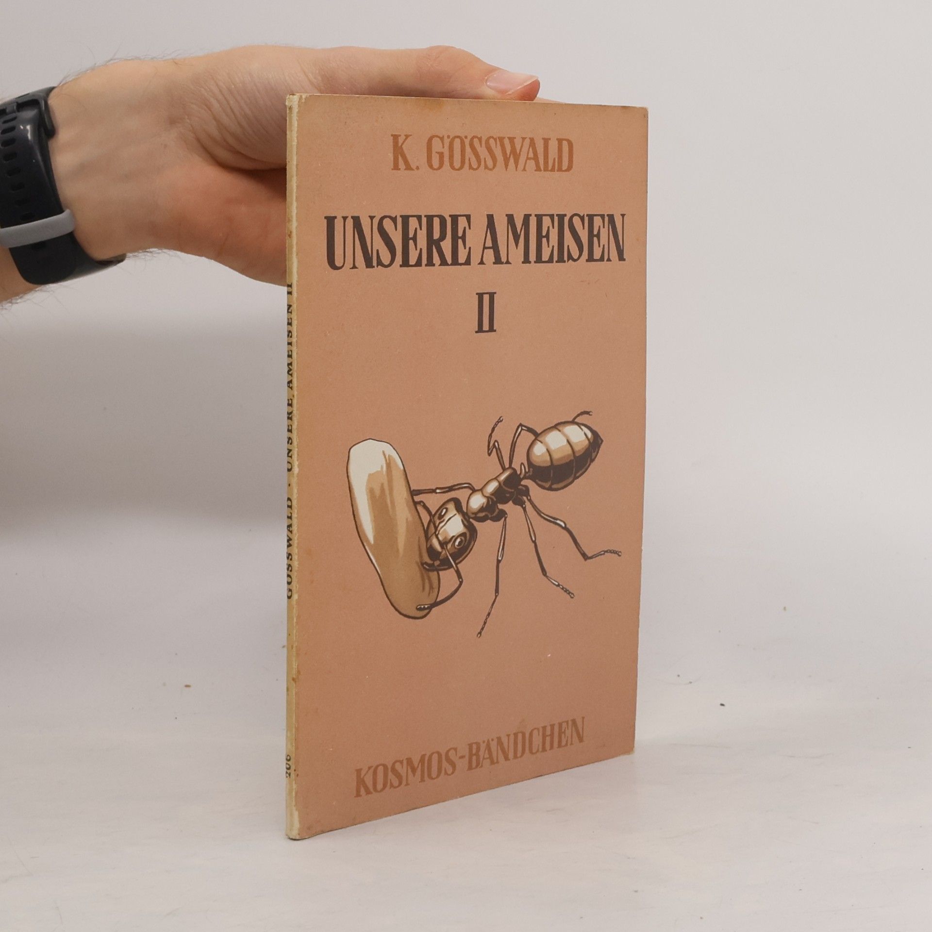 Unsere Ameisen II