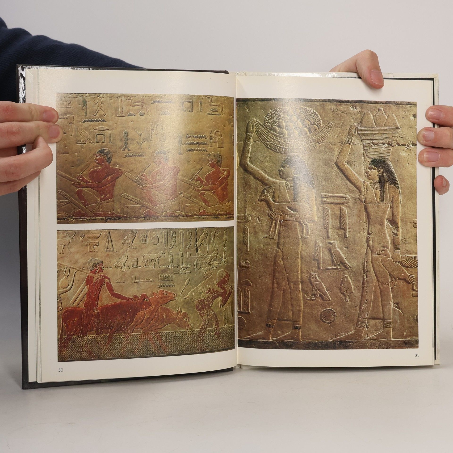 Enrica Leospo Die Pyramiden von Sakkara und Gizeh