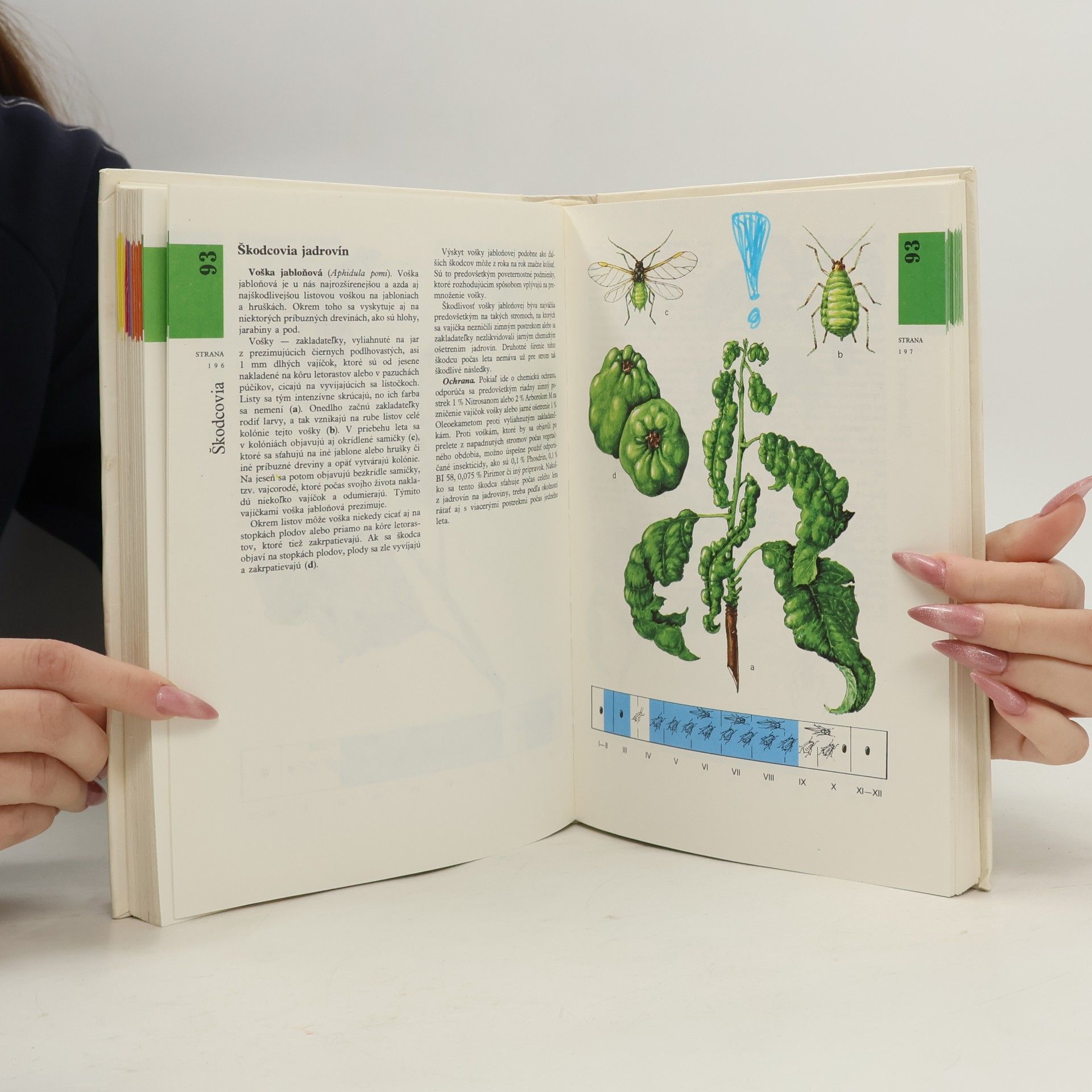 Gašpar Vanek Atlas chorôb a škodcov ovocných drevín a viniča