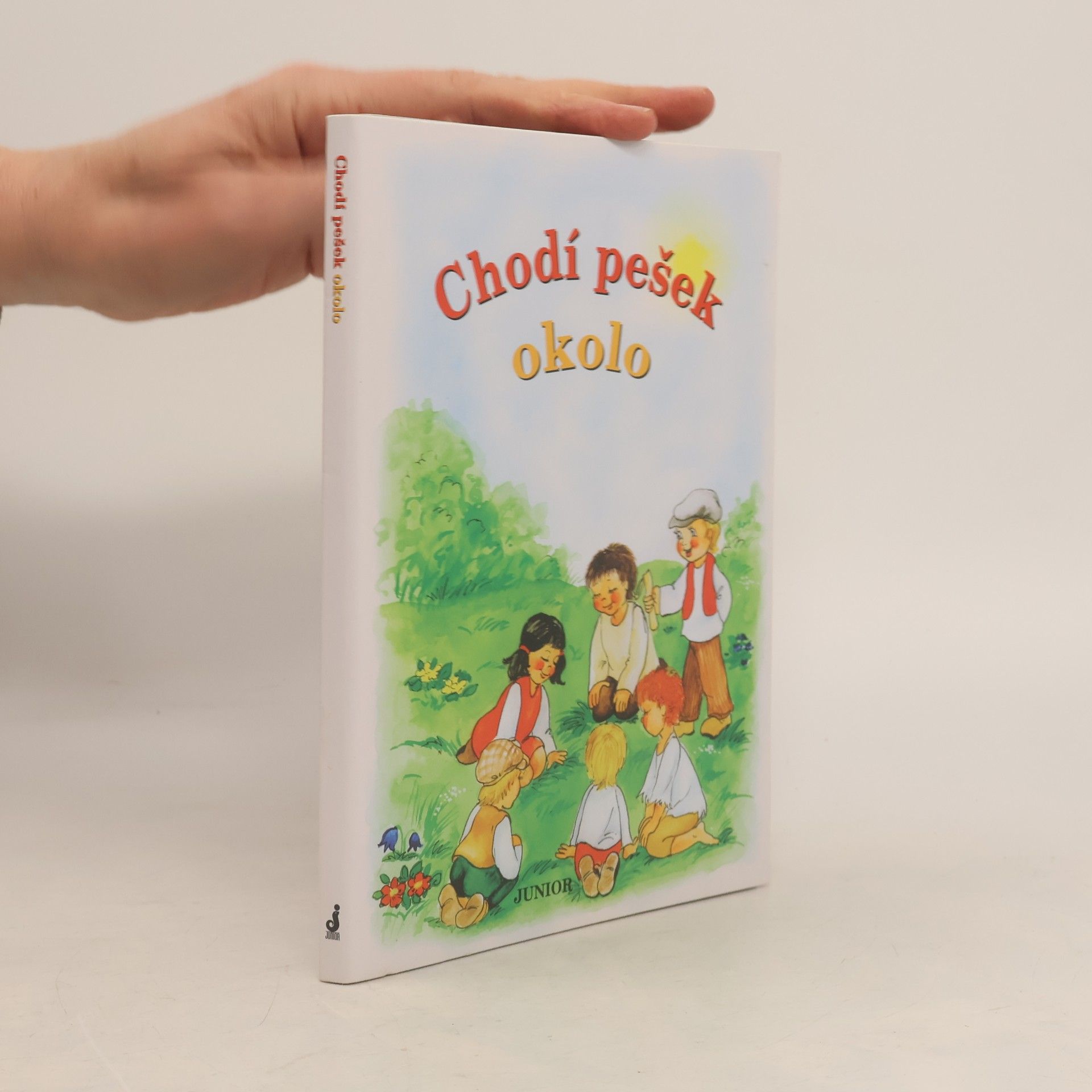 Vladimíra Vopičková Chodí pešek okolo (leporelo)