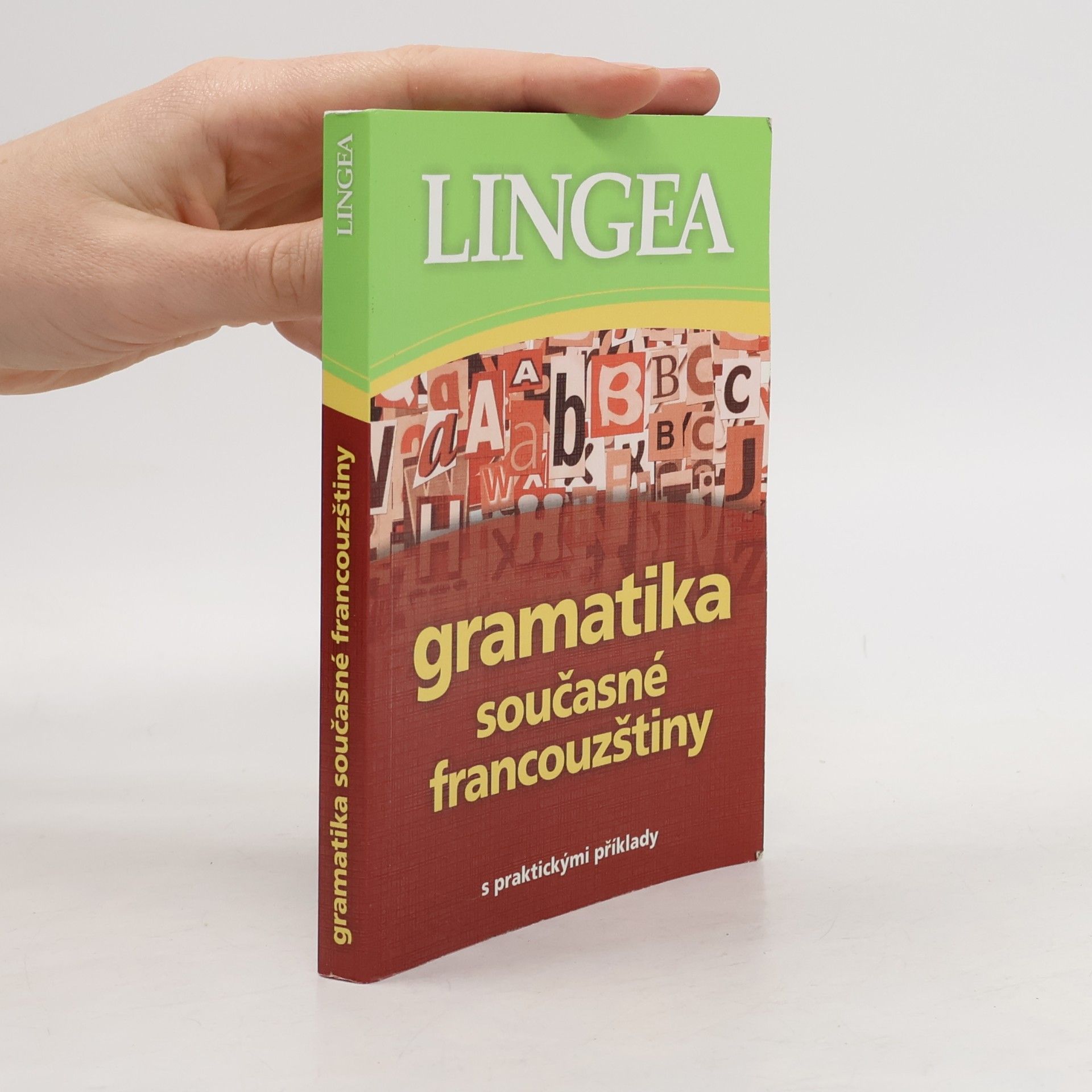 Autorenkollektiv Gramatika současné francouzštiny