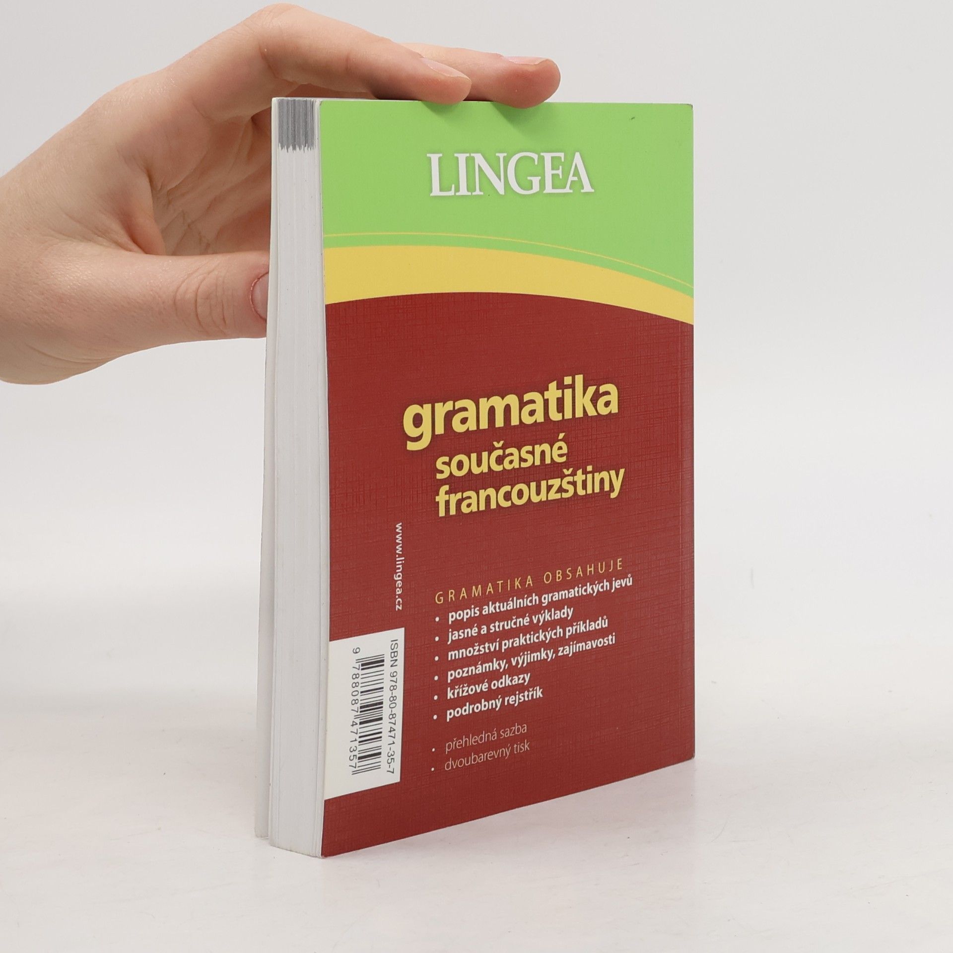 Autorenkollektiv Gramatika současné francouzštiny