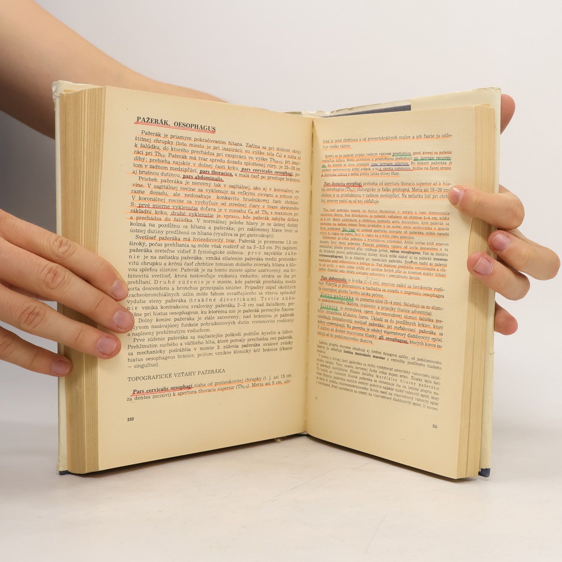 Autorenkollektiv Sústavná anatómia človeka I. Díl