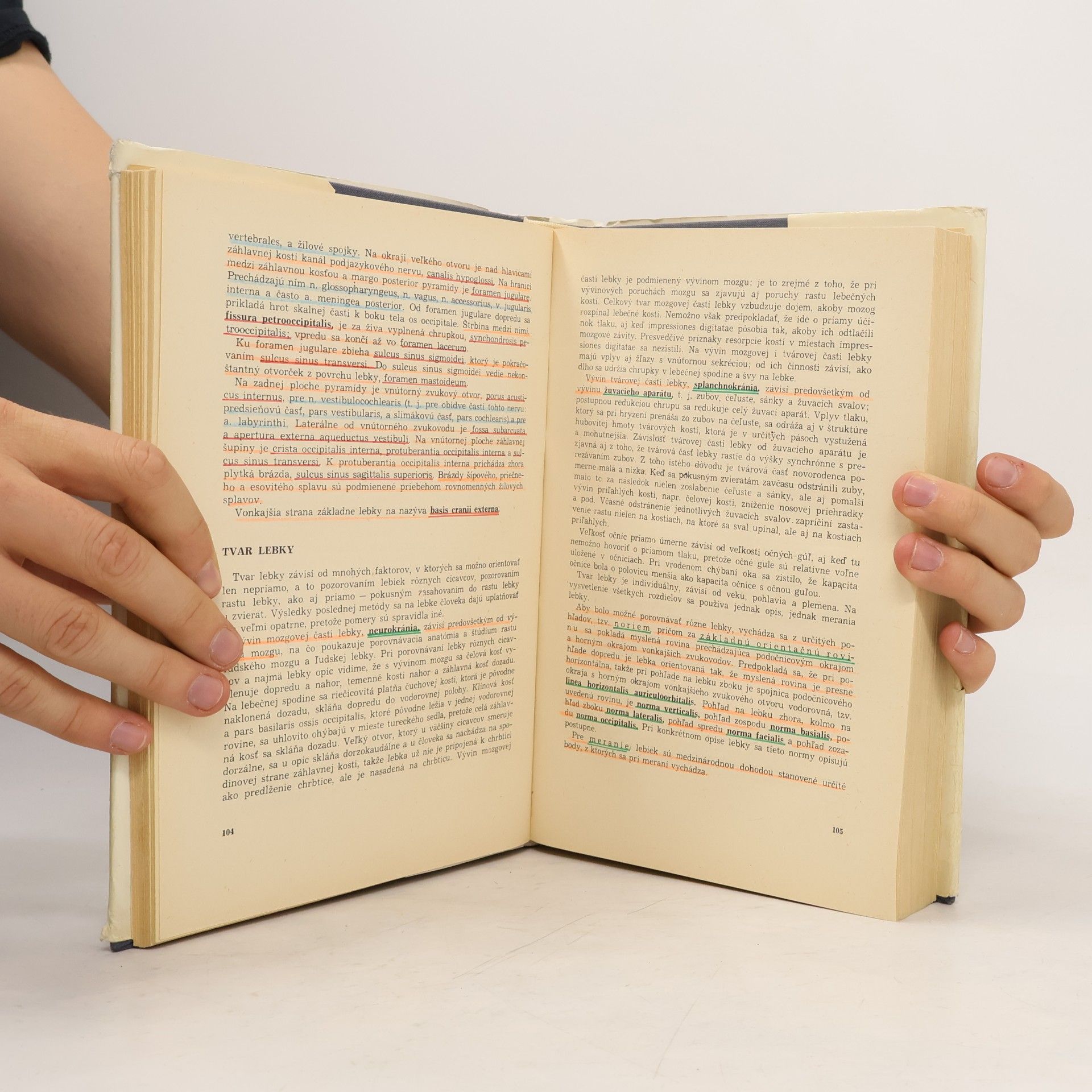 Autorenkollektiv Sústavná anatómia človeka I. Díl