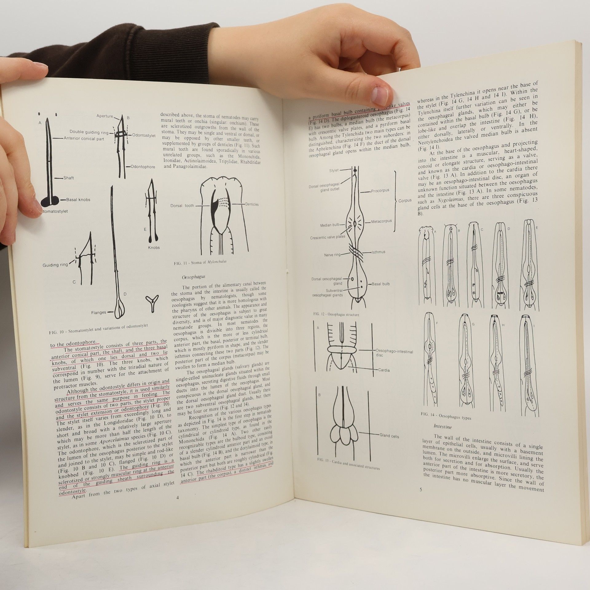 Various authors Plant nematology in southern Africa