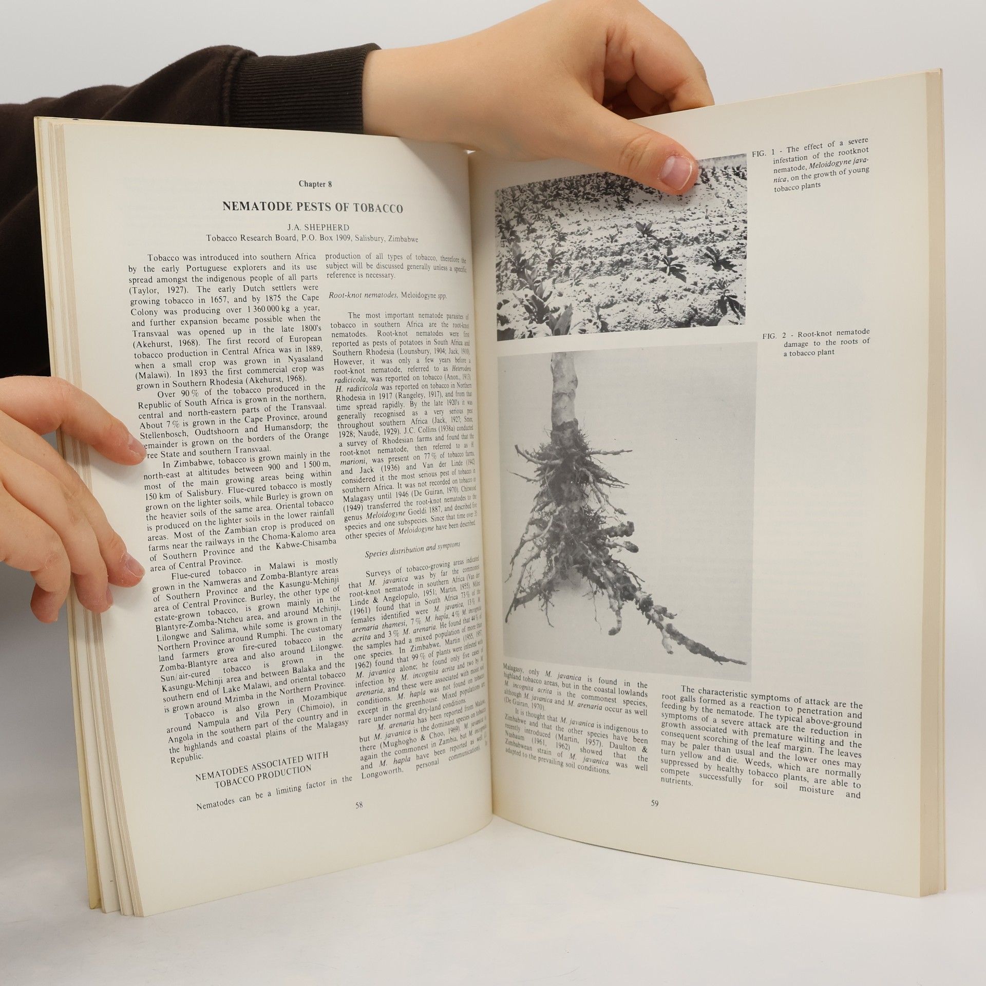 Various authors Plant nematology in southern Africa