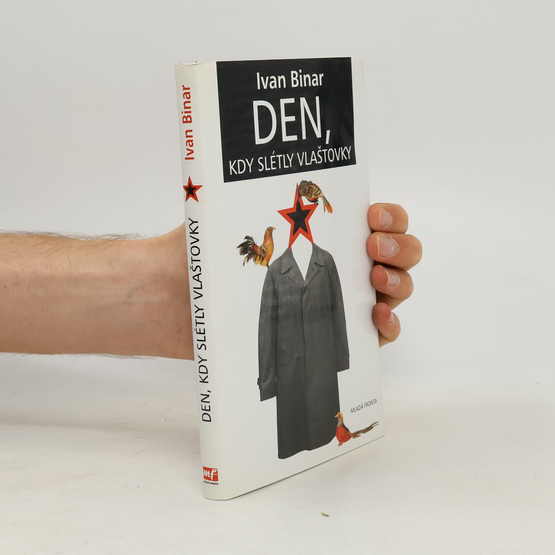 Den, kdy slétly vlaštovky