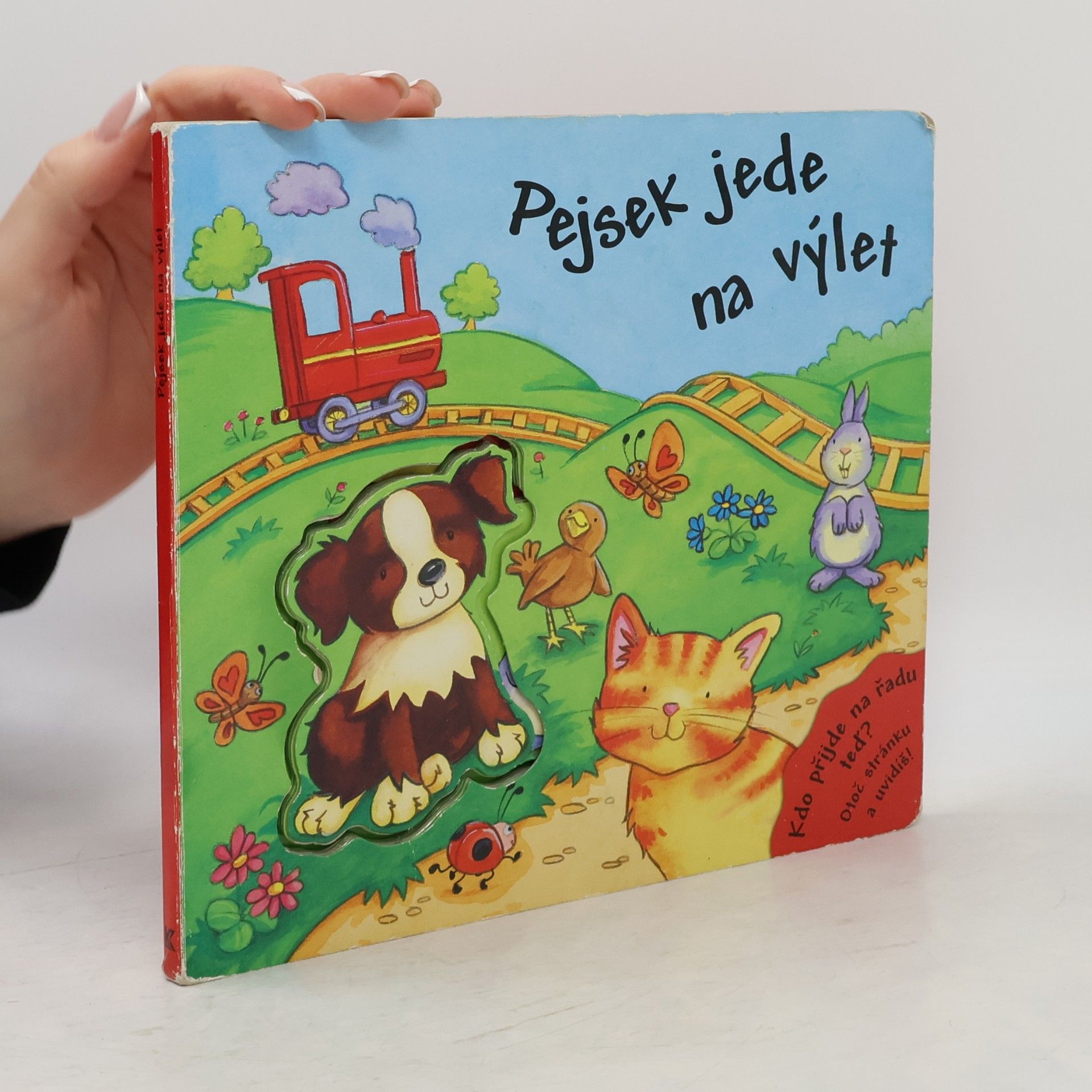 Pejsek jede na výlet