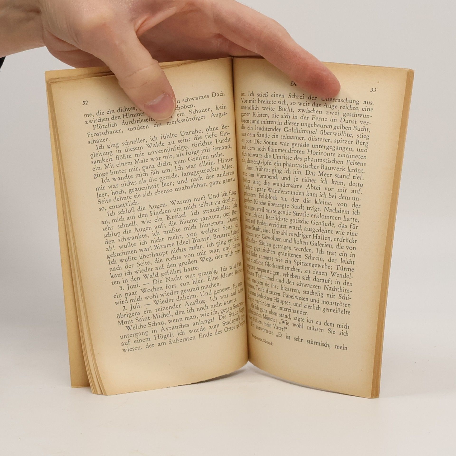 Guy de Maupassant Der Schmuck und andere Novellen