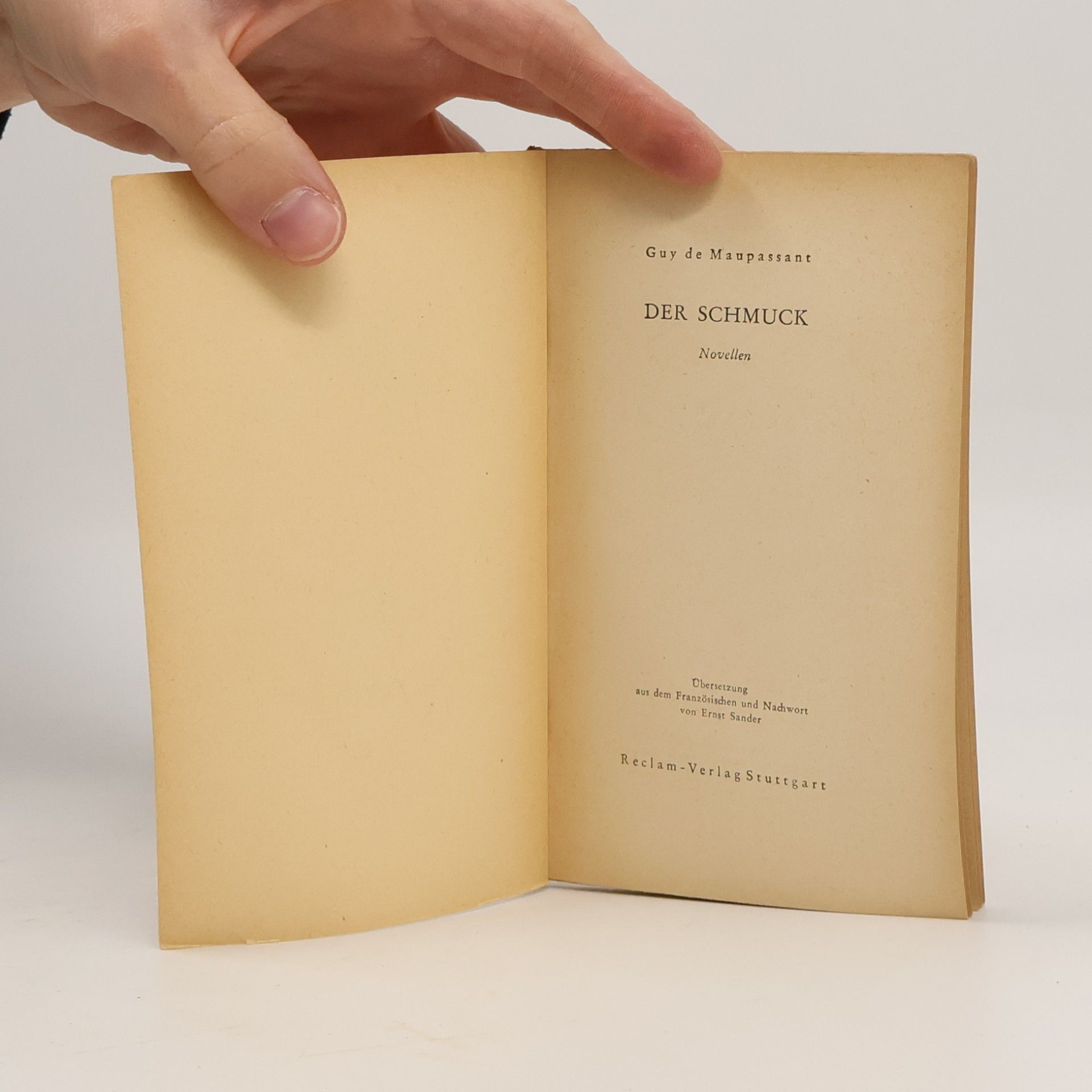 Guy de Maupassant Der Schmuck und andere Novellen