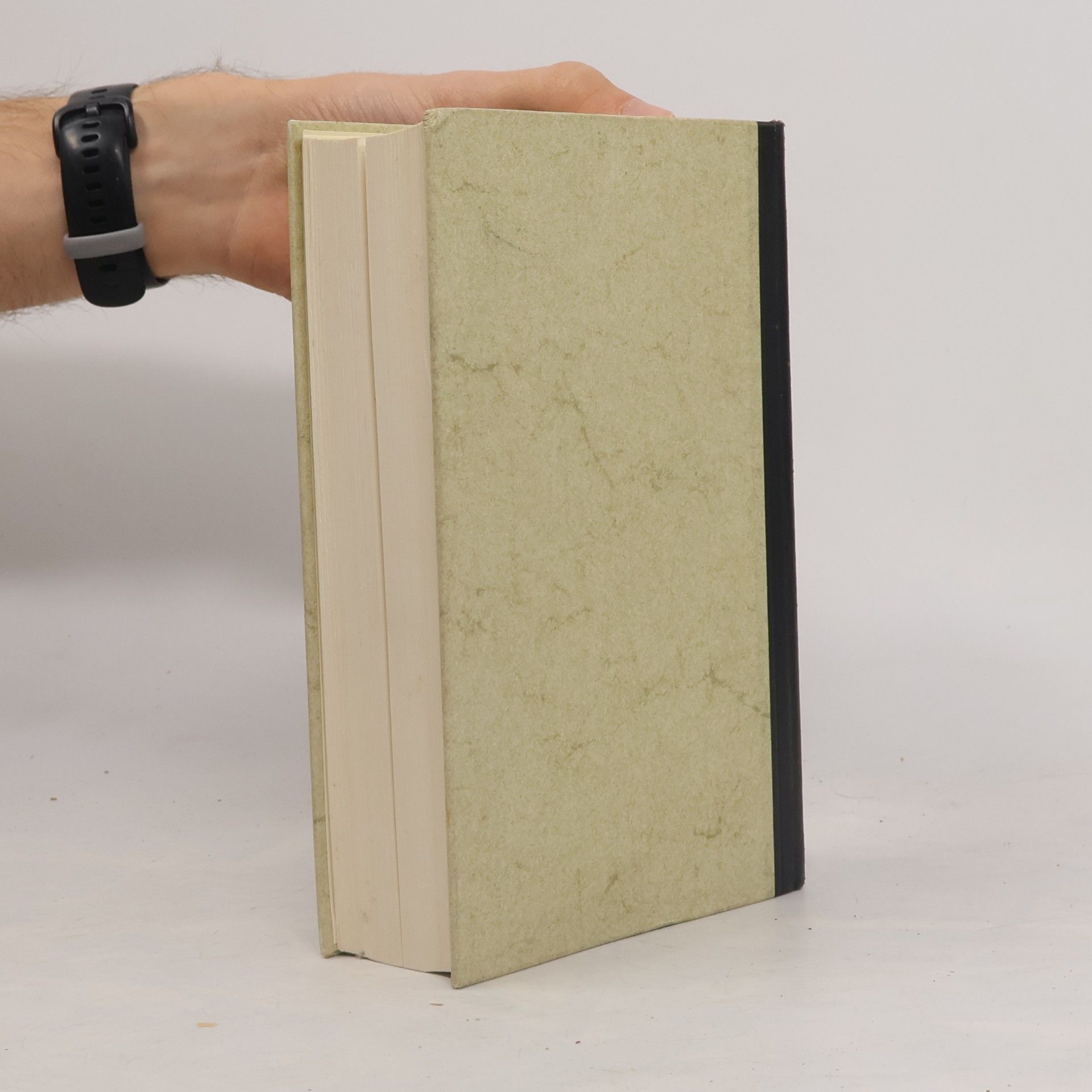 Alexandre Dumas Der Graf von Monte Christo