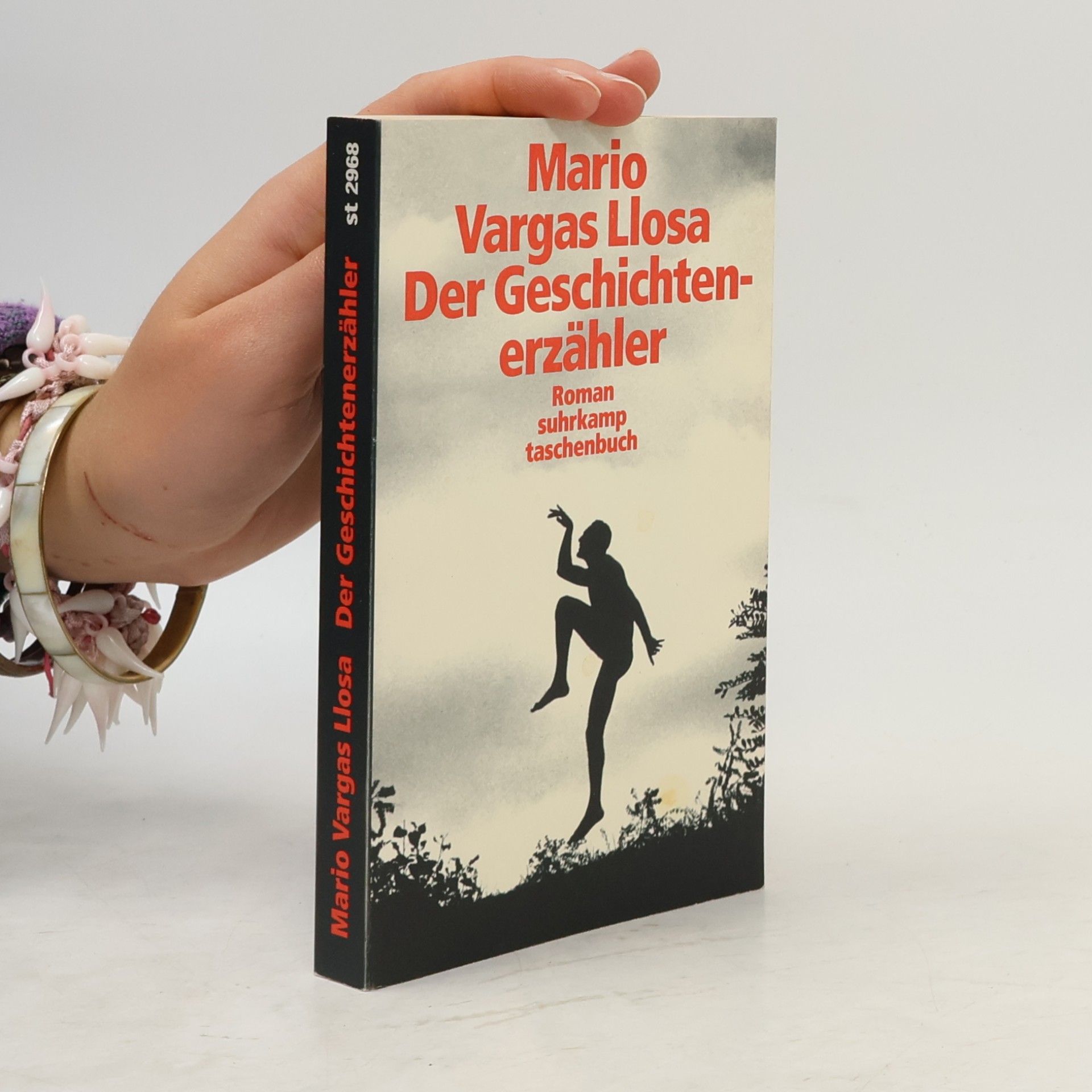 Mario Vargas Llosa Der Geschichtenerzähler