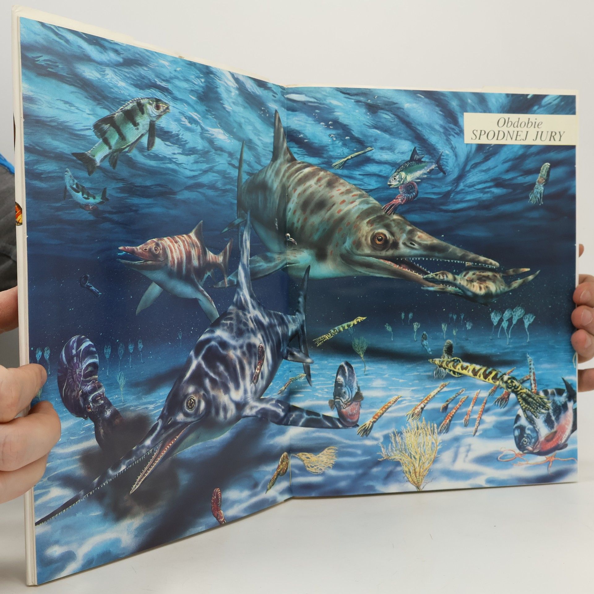 Autorenkollektiv Dětská encyklopédia dinosaurov