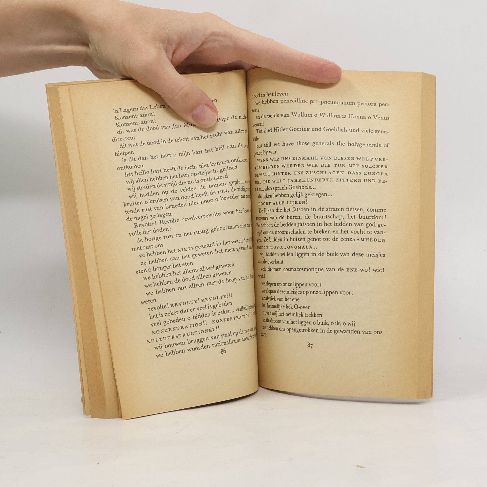 Bert Schierbeek Het boek Ik