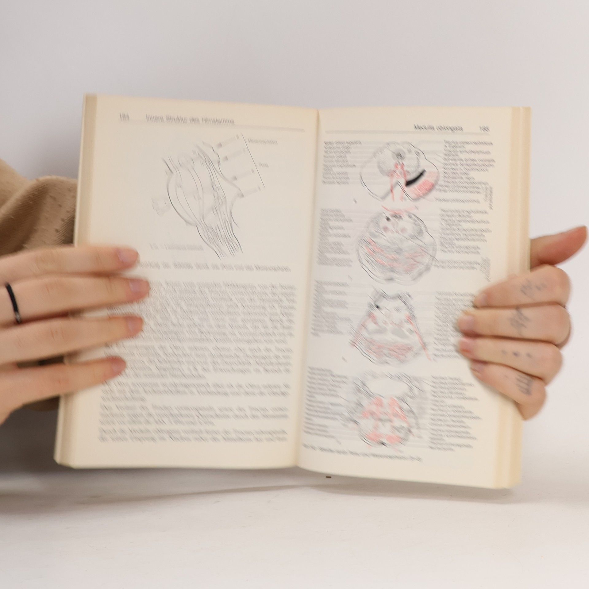 Peter Duus Neurologisch-topische Diagnostik