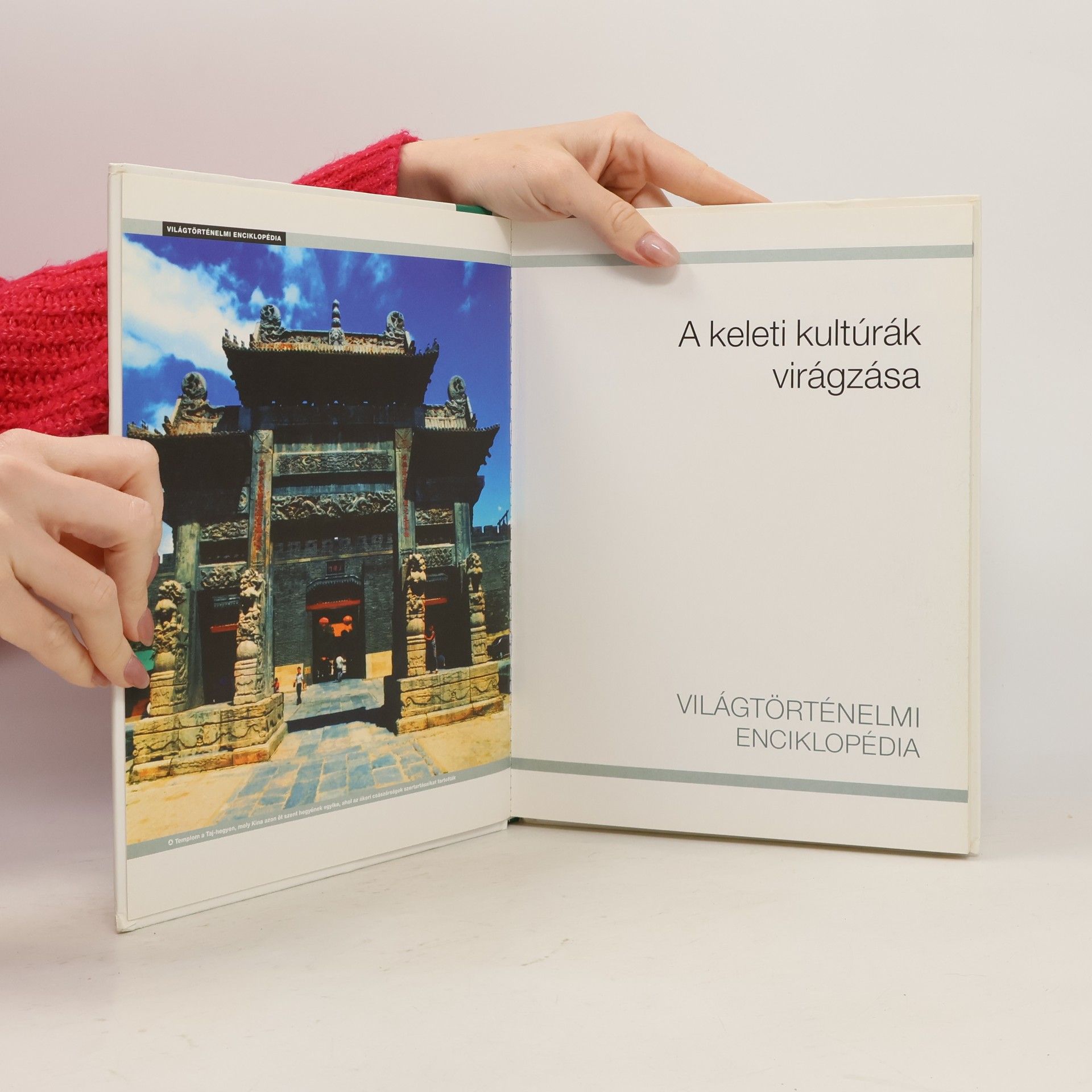 Collectif d'auteurs Világtörténelmi enciklopédia 6