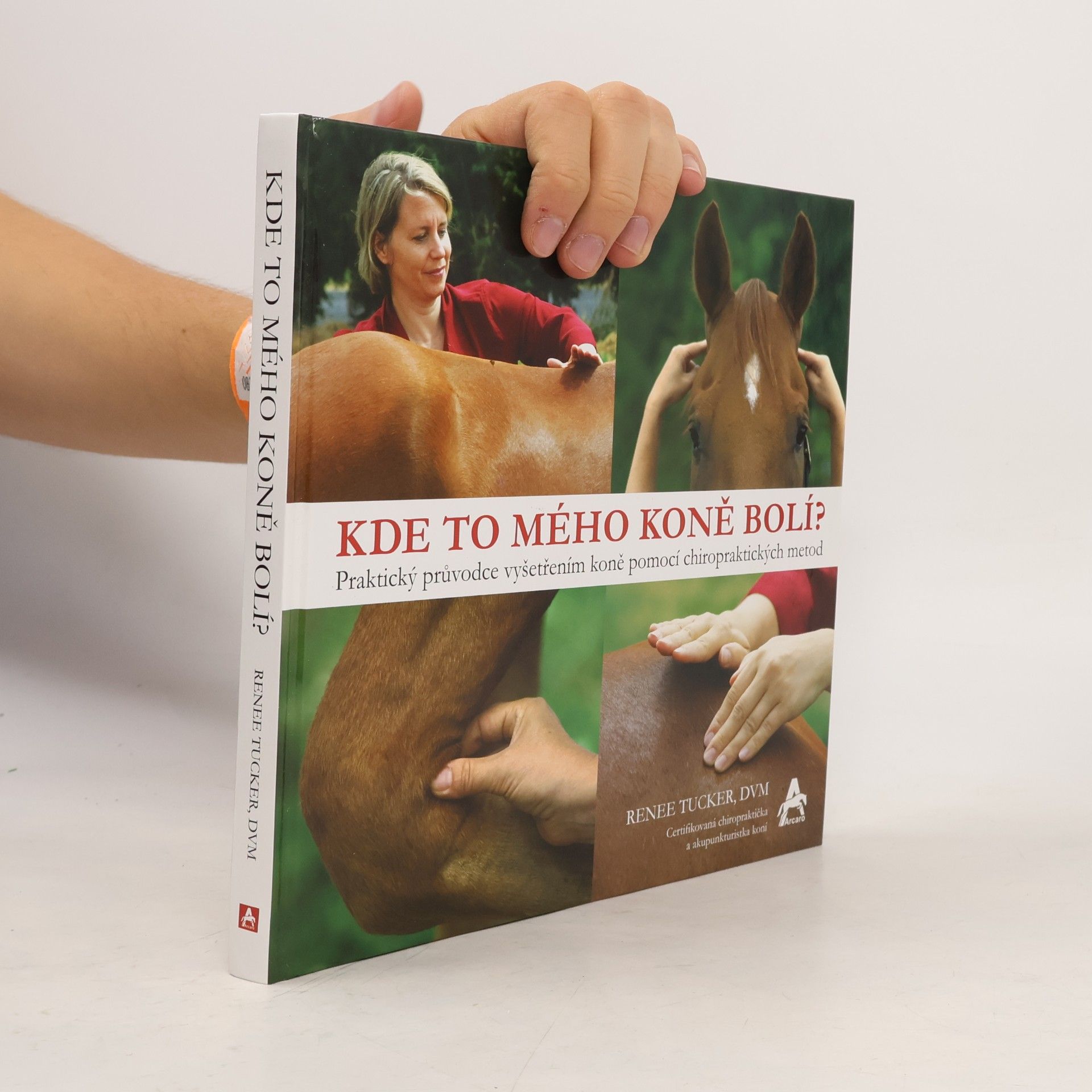 Dominika Švehlová Kde to mého koně bolí