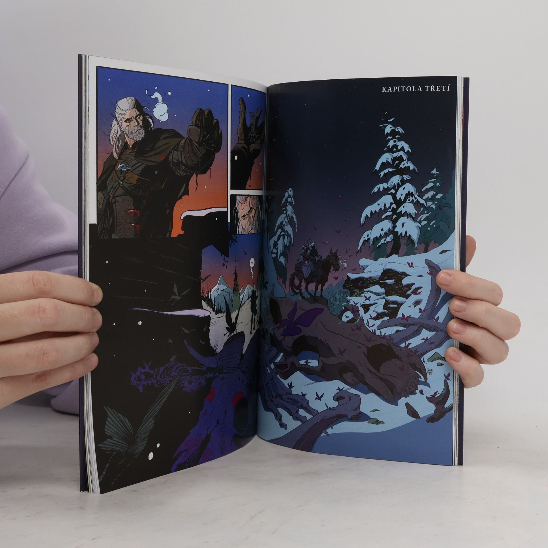 Simon Spurrier Zaklínač: Medvěd a motýl