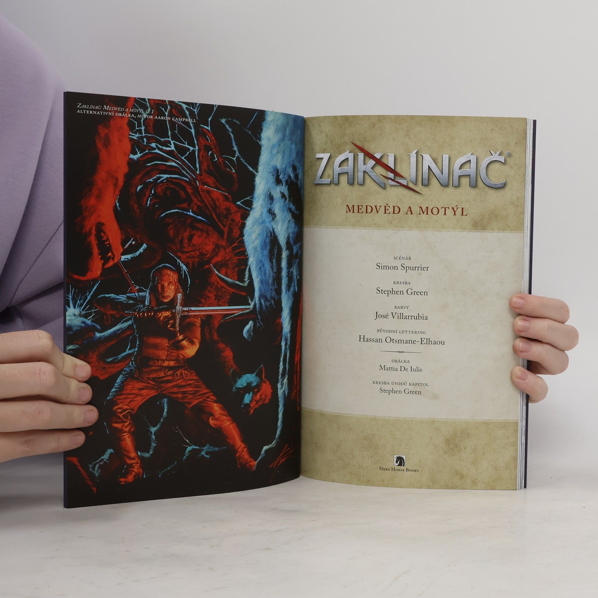 Simon Spurrier Zaklínač: Medvěd a motýl