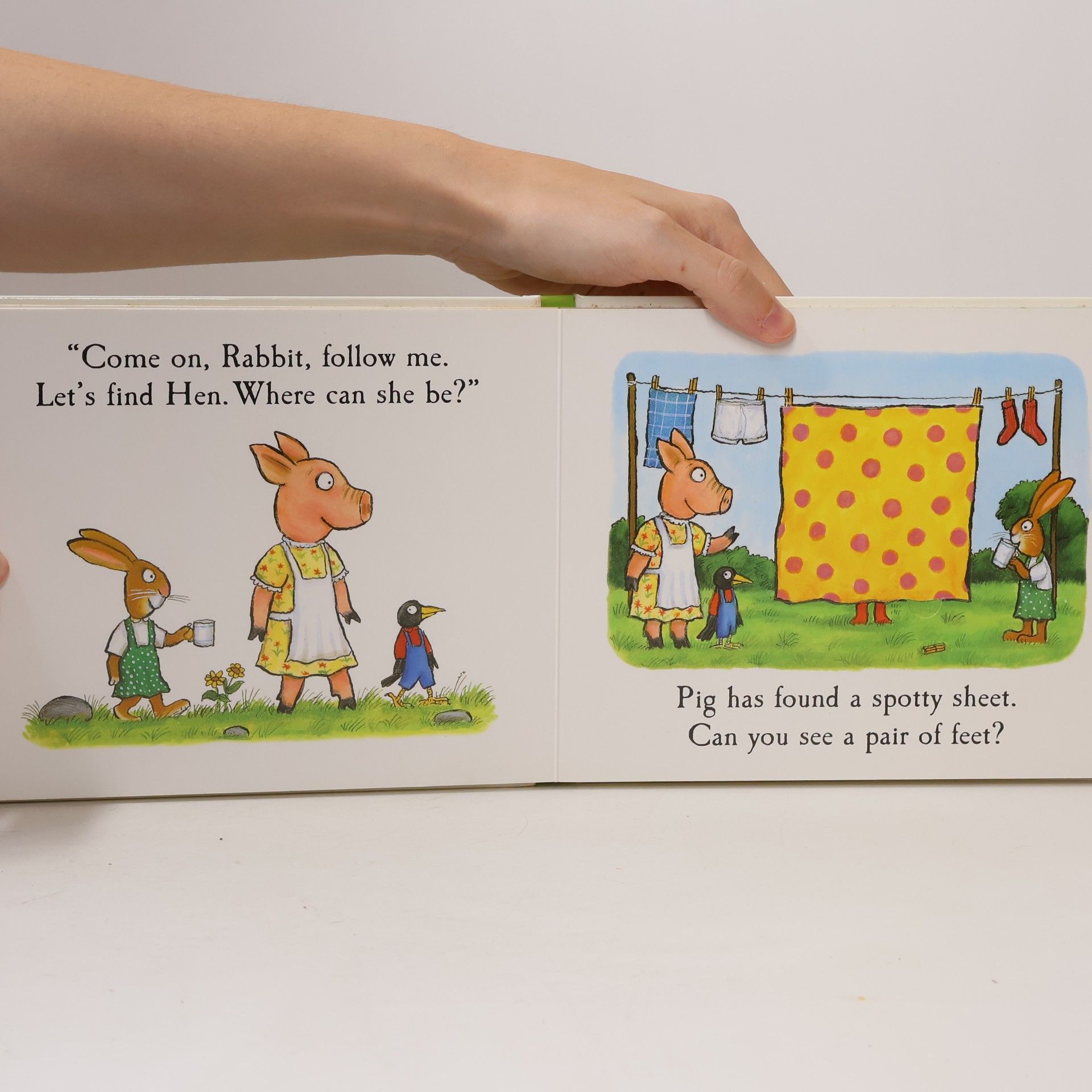 Julia Donaldson Hide-and-seek pig