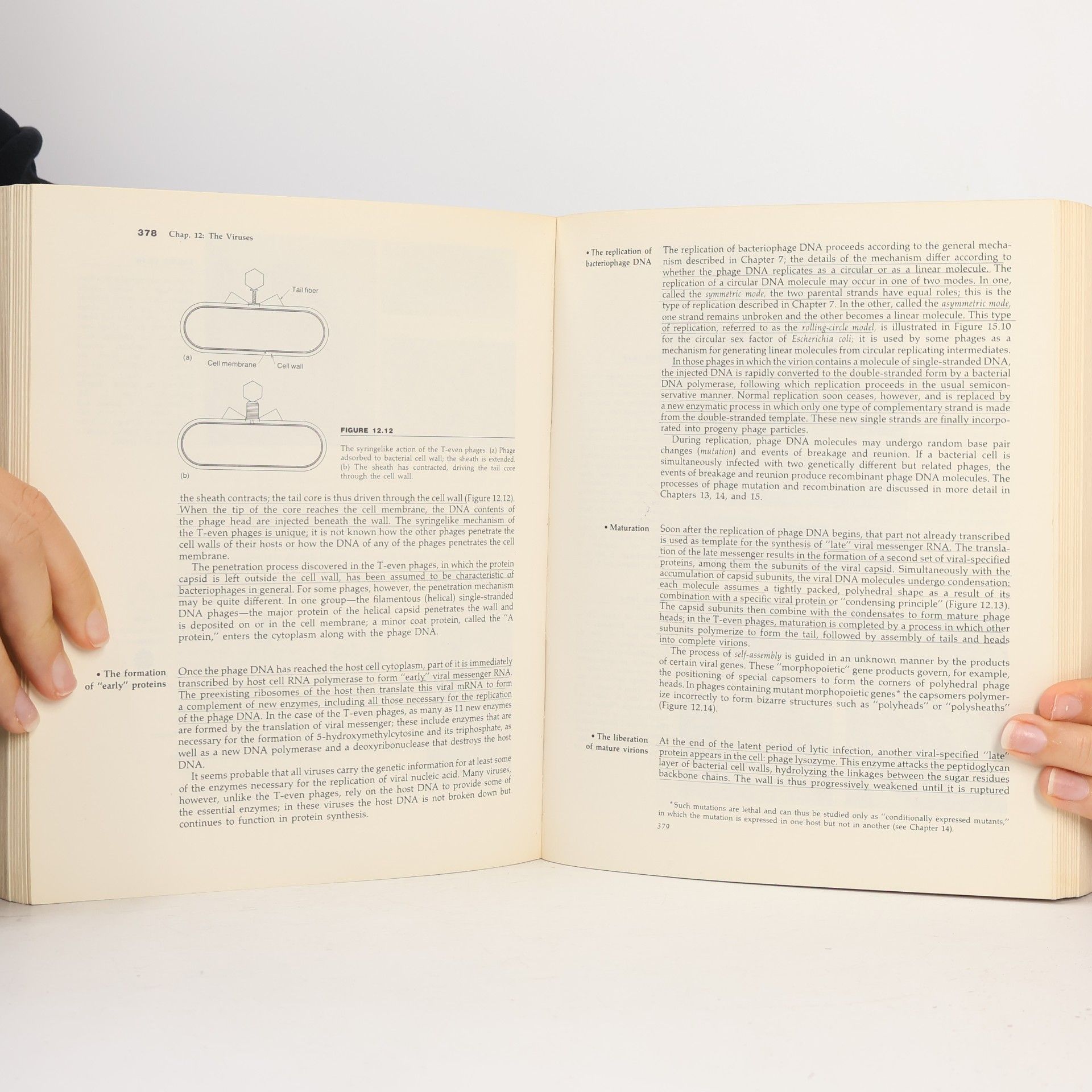 Roger Y. Stanier General Microbiology
