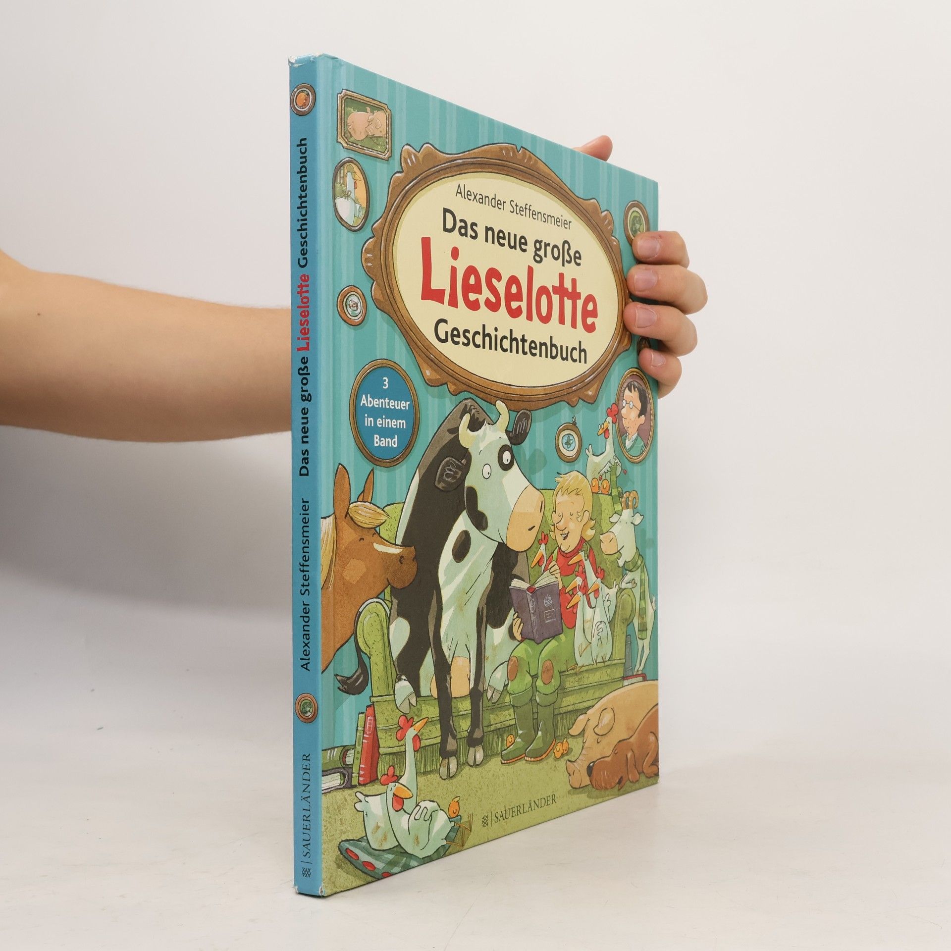 Das neue große Lieselotte Geschichtenbuch
