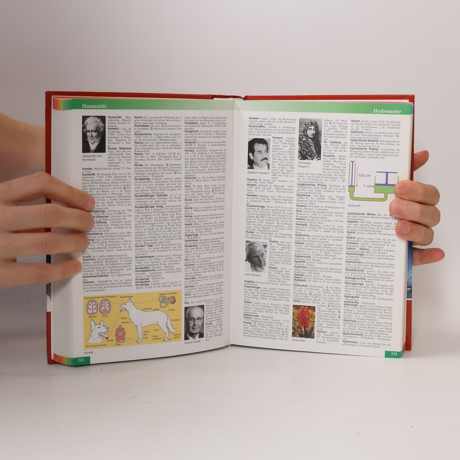 Autorenkollektiv Neues Universal Lexikon in Farbe