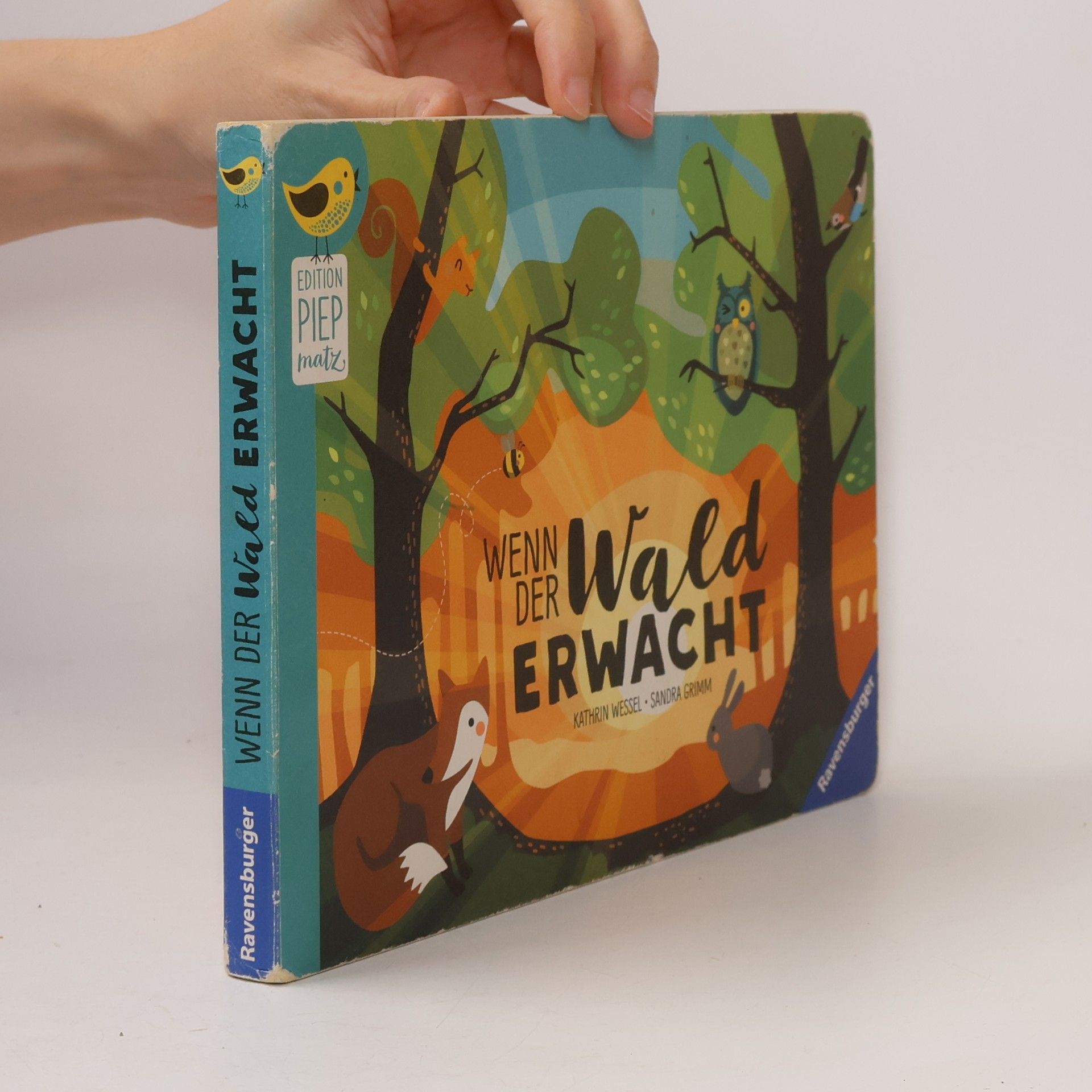 Wenn der Wald erwacht