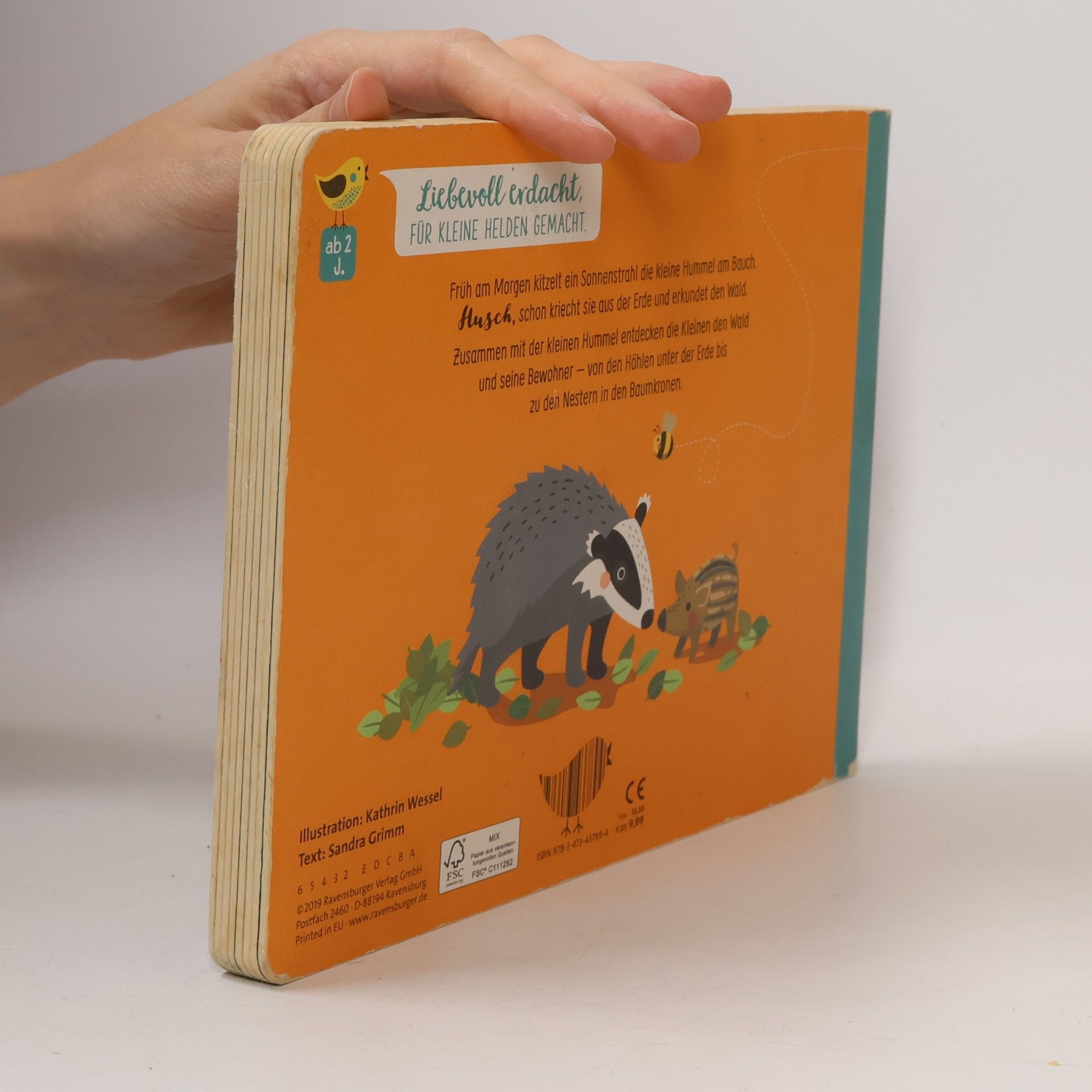 Kathrin Wessel Wenn der Wald erwacht