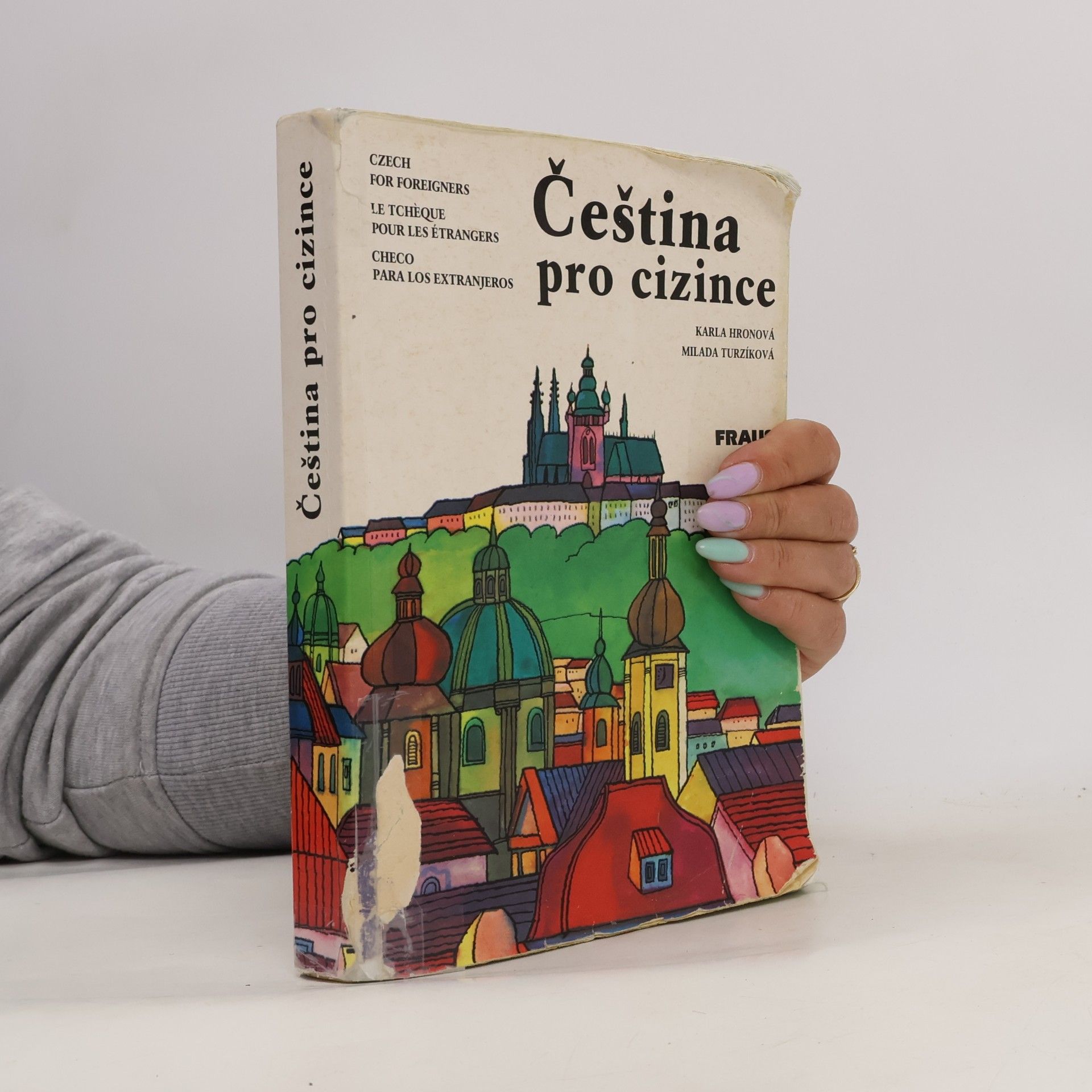 Čeština pro cizince