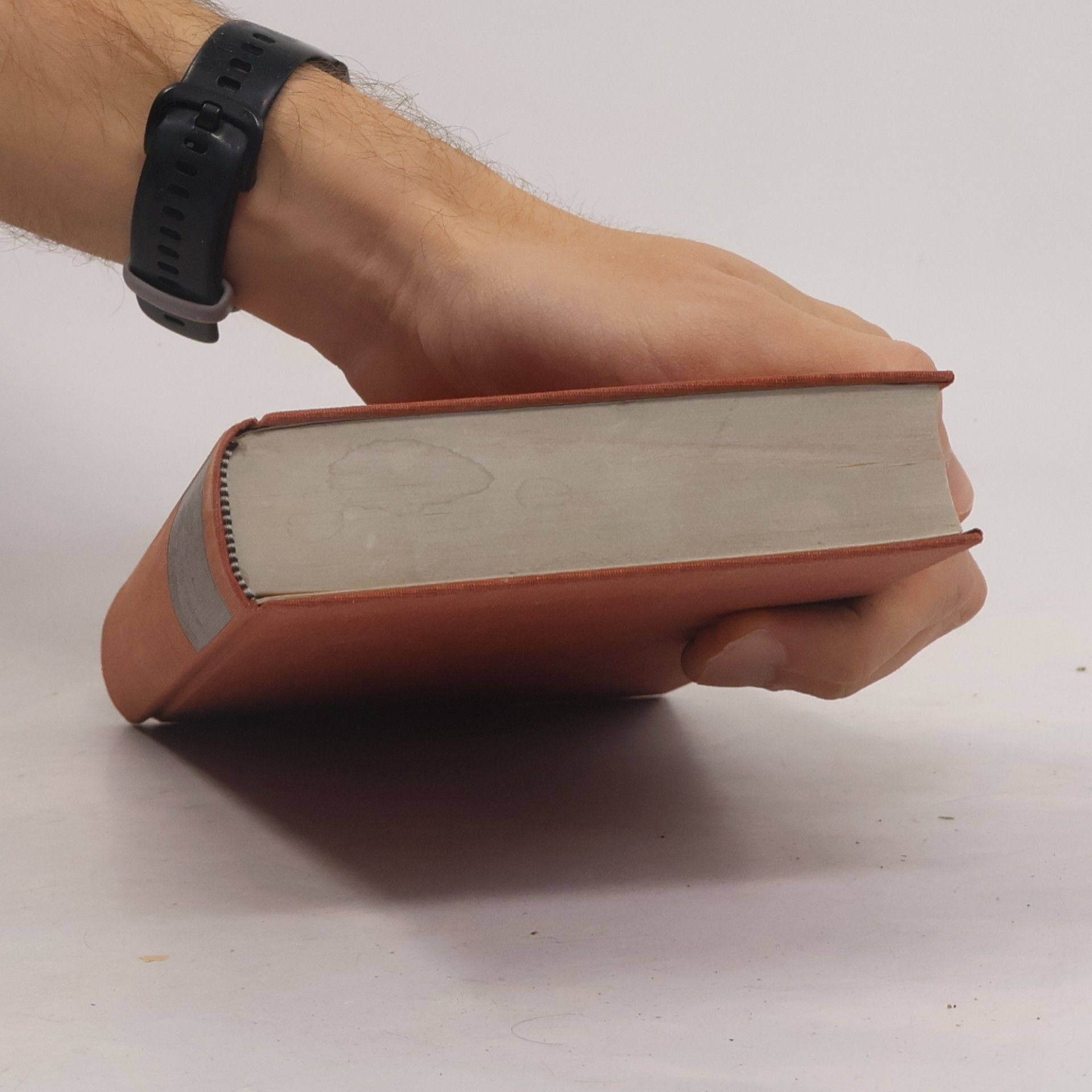 Various authors Im Zeichen des Bären