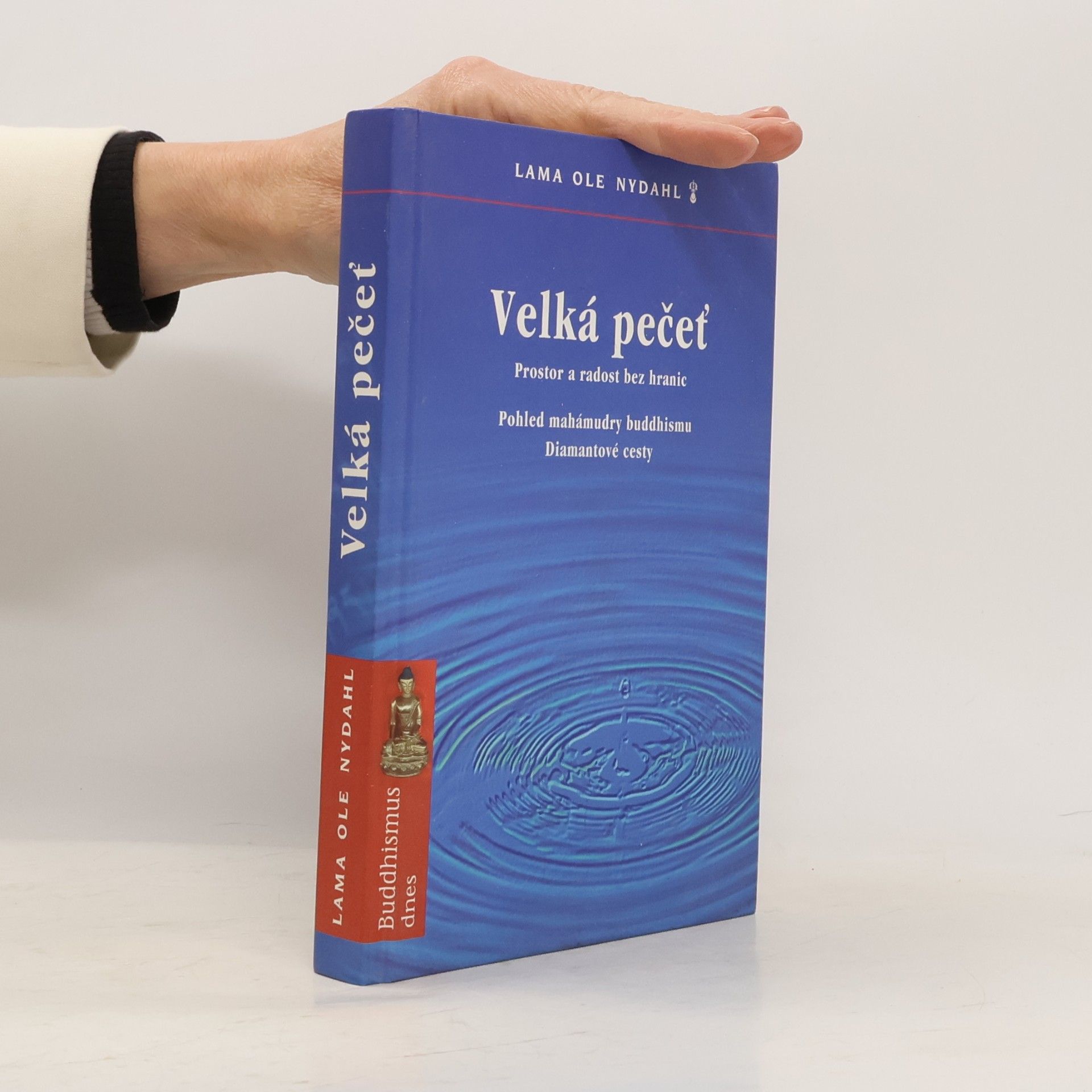 Velká pečeť: pohled mahámudry buddhismu Diamantové cesty