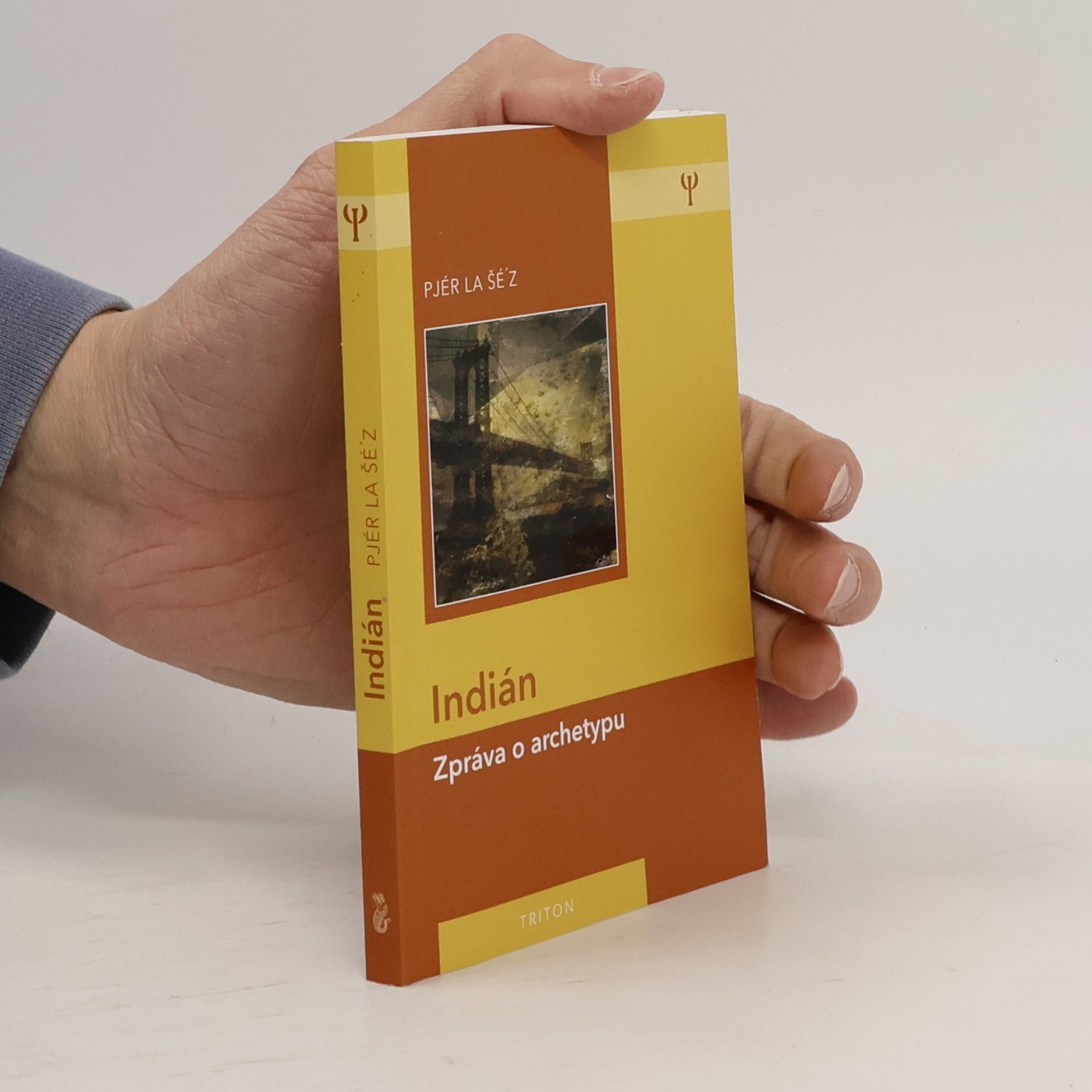 Indián: Zpráva o archetypu